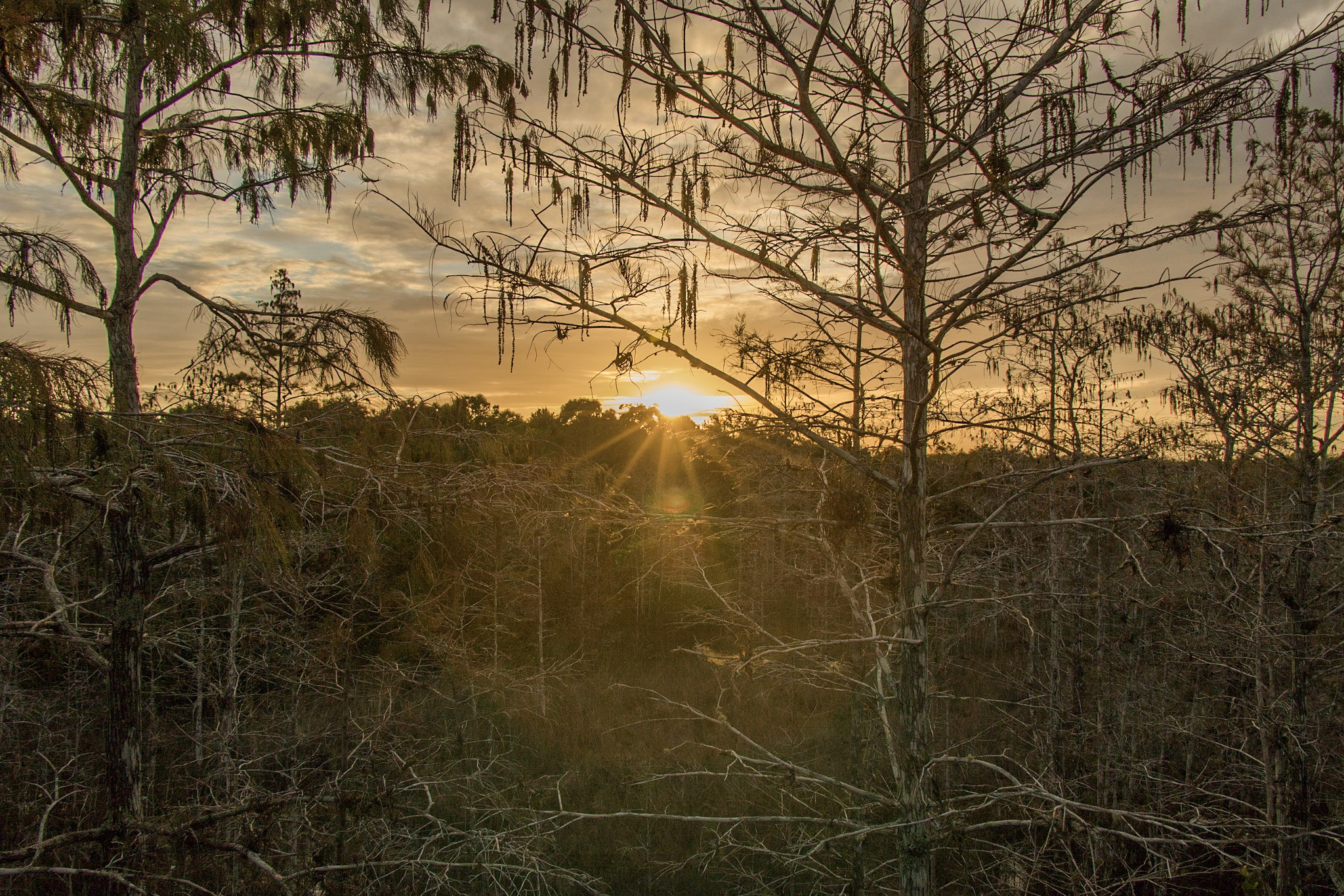 Canon EOS 760D (EOS Rebel T6s / EOS 8000D) sample photo. Sunset - everglades national park. homestead, fl photography