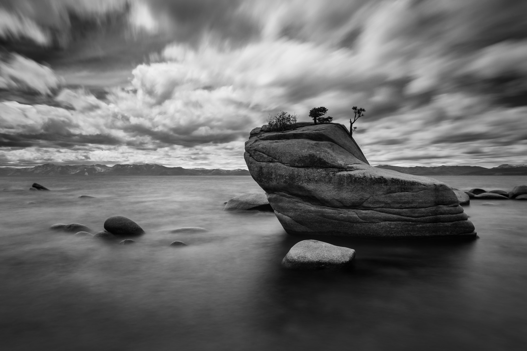 Nikon D800 sample photo. Bonsai rock photography