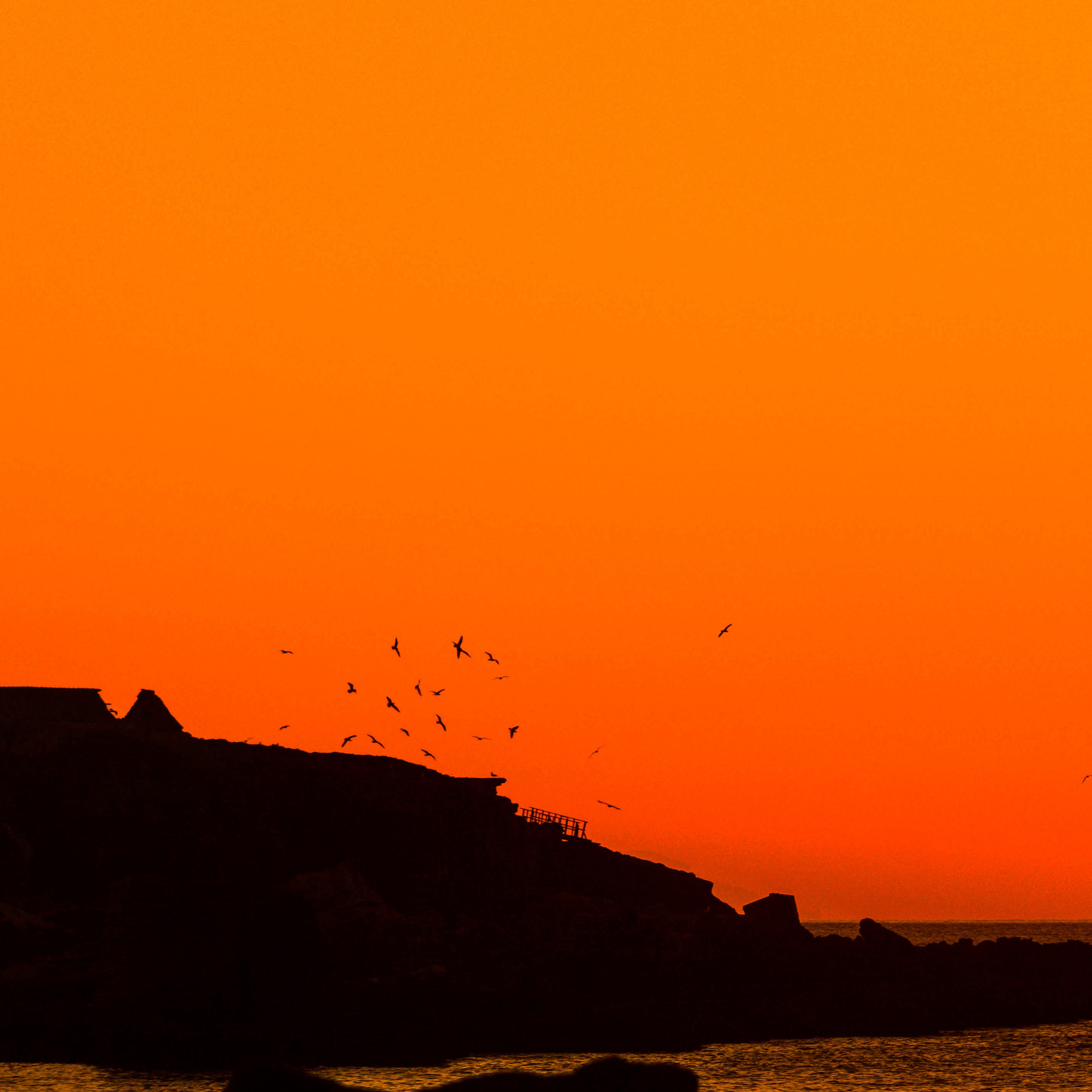Canon EF 75-300mm f/4-5.6 USM sample photo. I believe i can fly photography