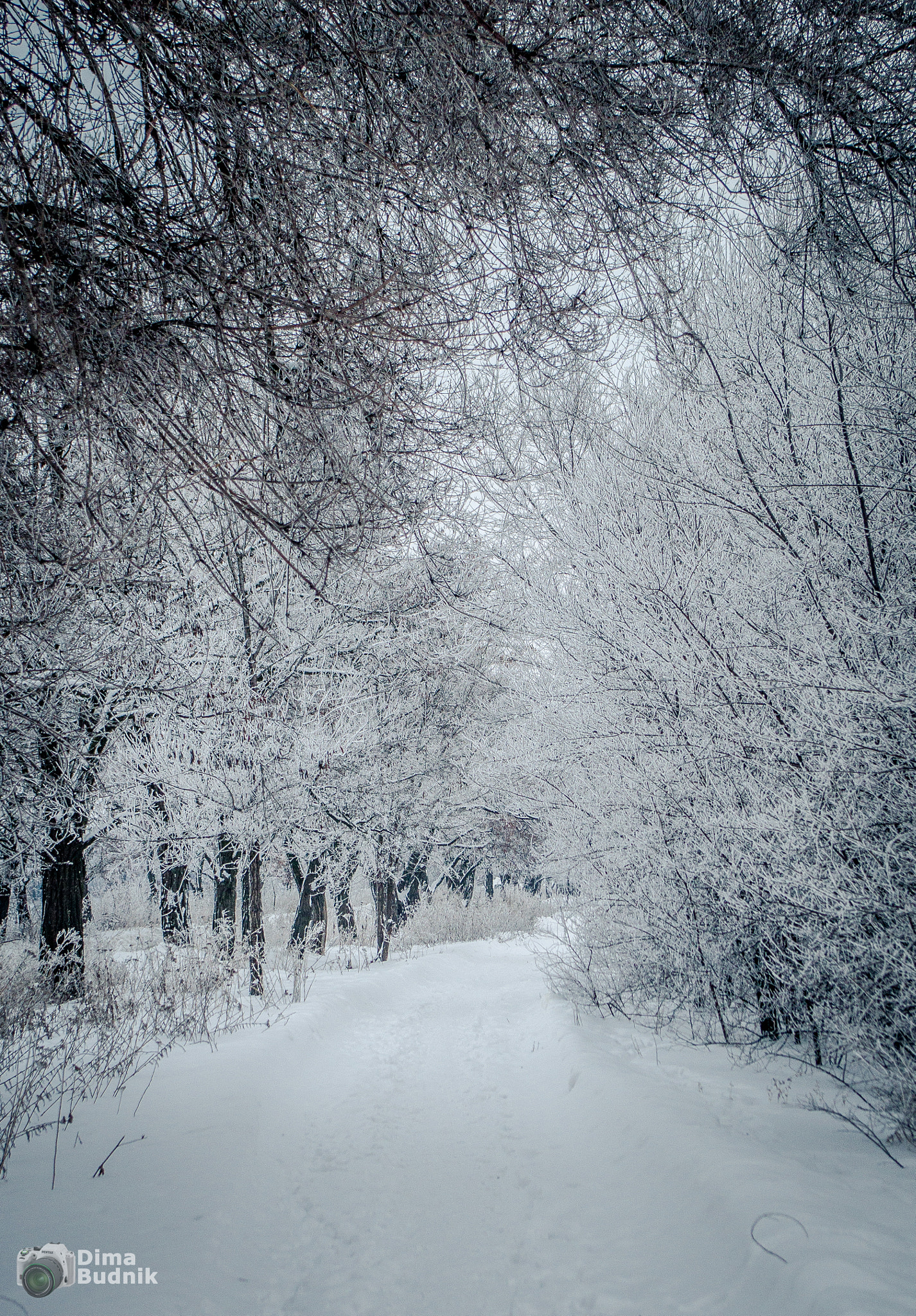 Pentax K-S2 sample photo. Winter landscape photography