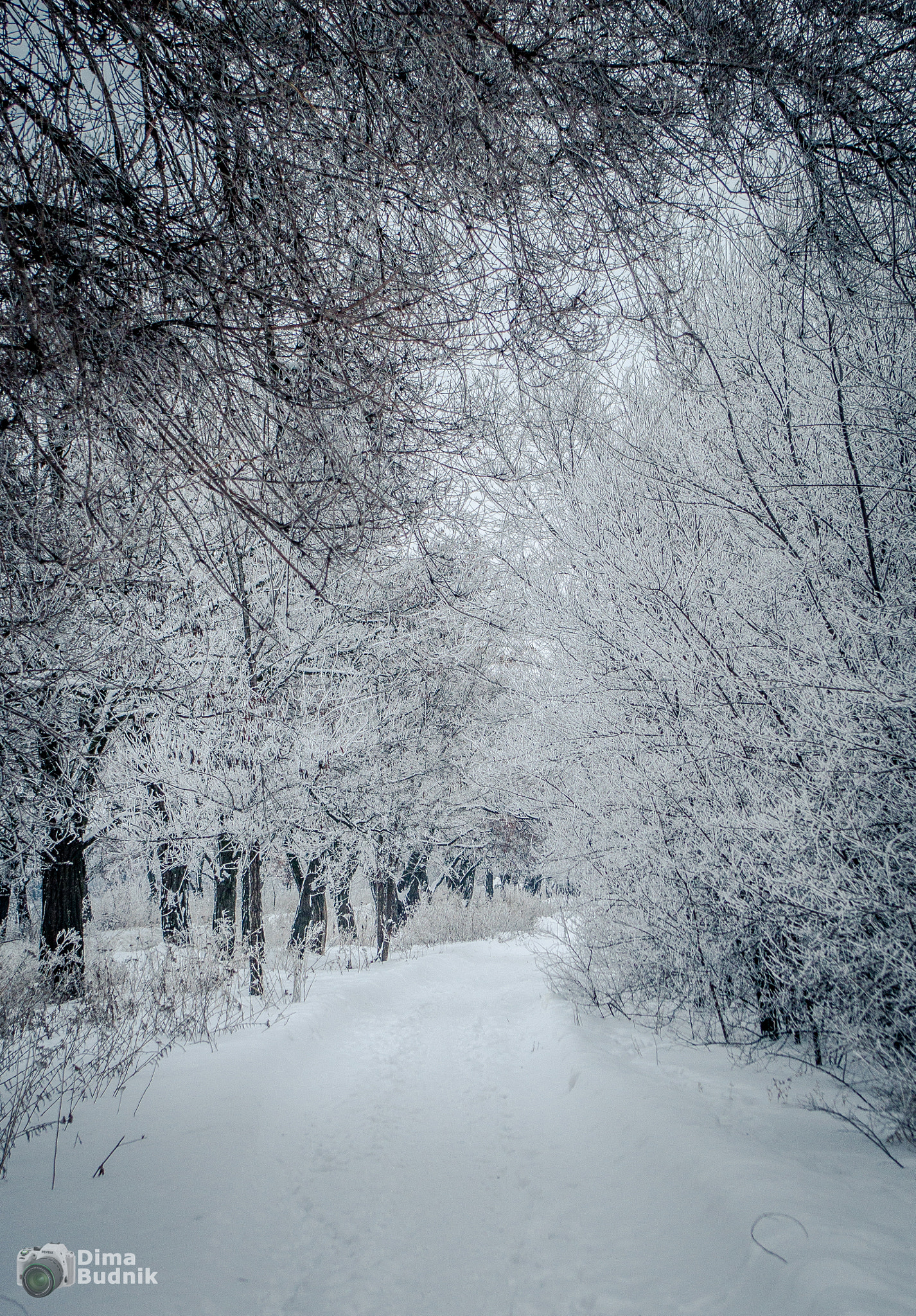 Pentax smc DA 18-55mm F3.5-5.6 AL WR sample photo. Winter landscape photography