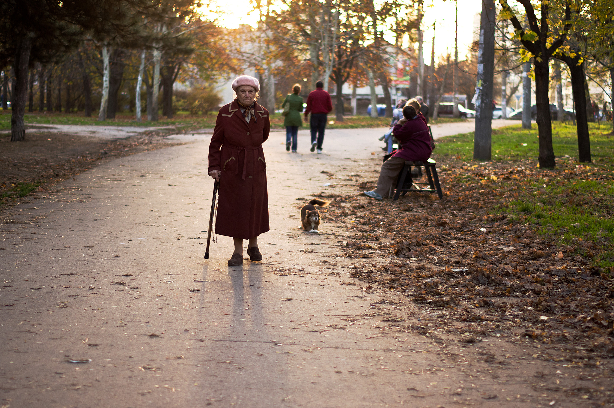 Pentax K-r + Pentax smc DA 50mm F1.8 sample photo. The lady with the dog photography