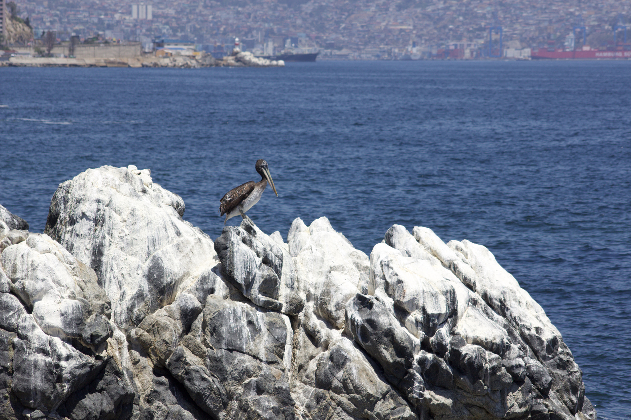 Canon EOS 600D (Rebel EOS T3i / EOS Kiss X5) sample photo. Fullsizeoutput bd photography
