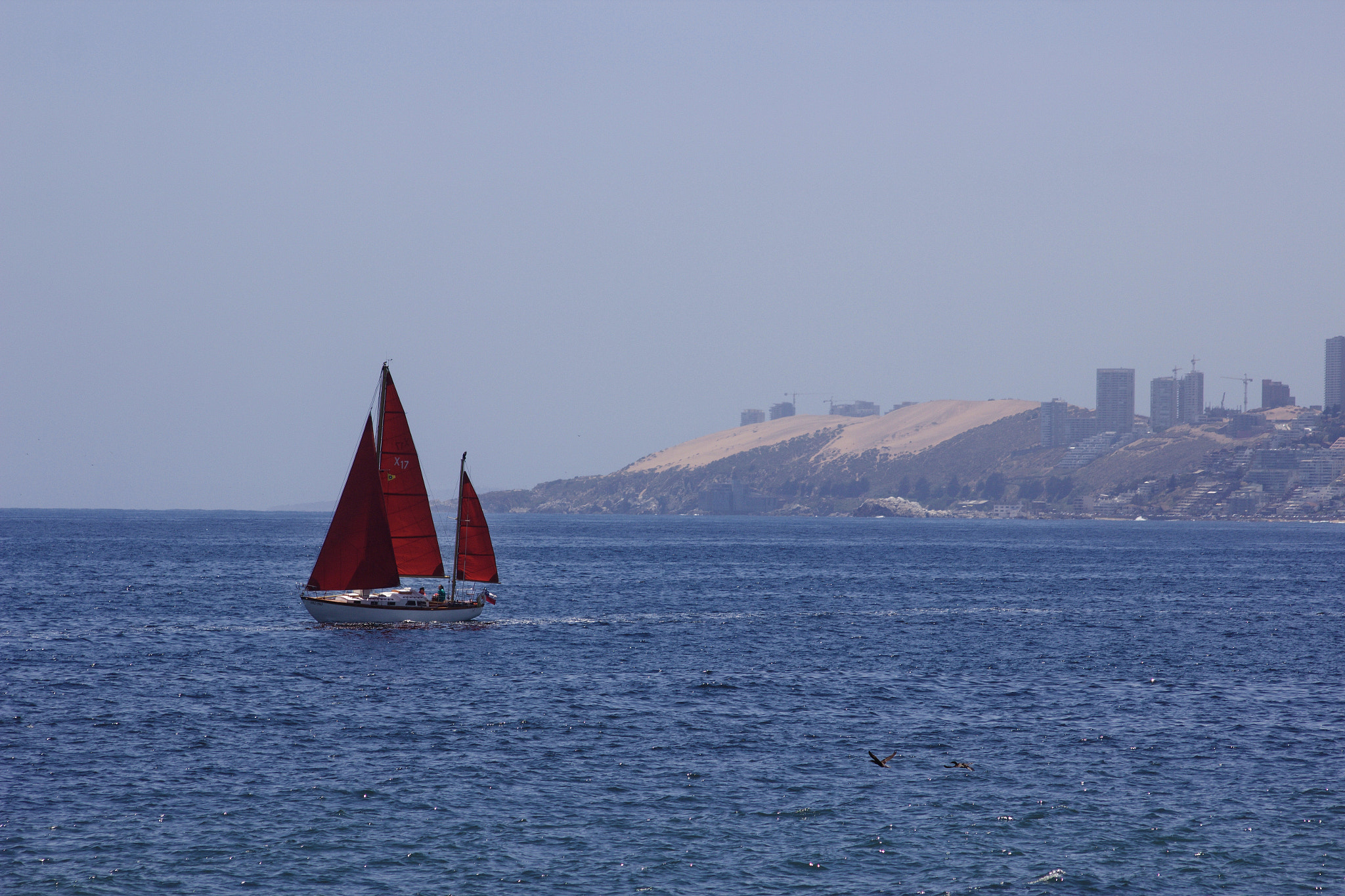 Canon EOS 600D (Rebel EOS T3i / EOS Kiss X5) sample photo. Fullsizeoutput bf photography