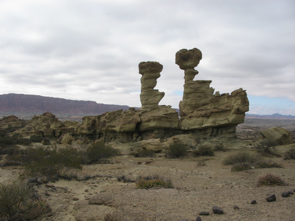 Canon POWERSHOT A85 sample photo. Sentries in the desert photography