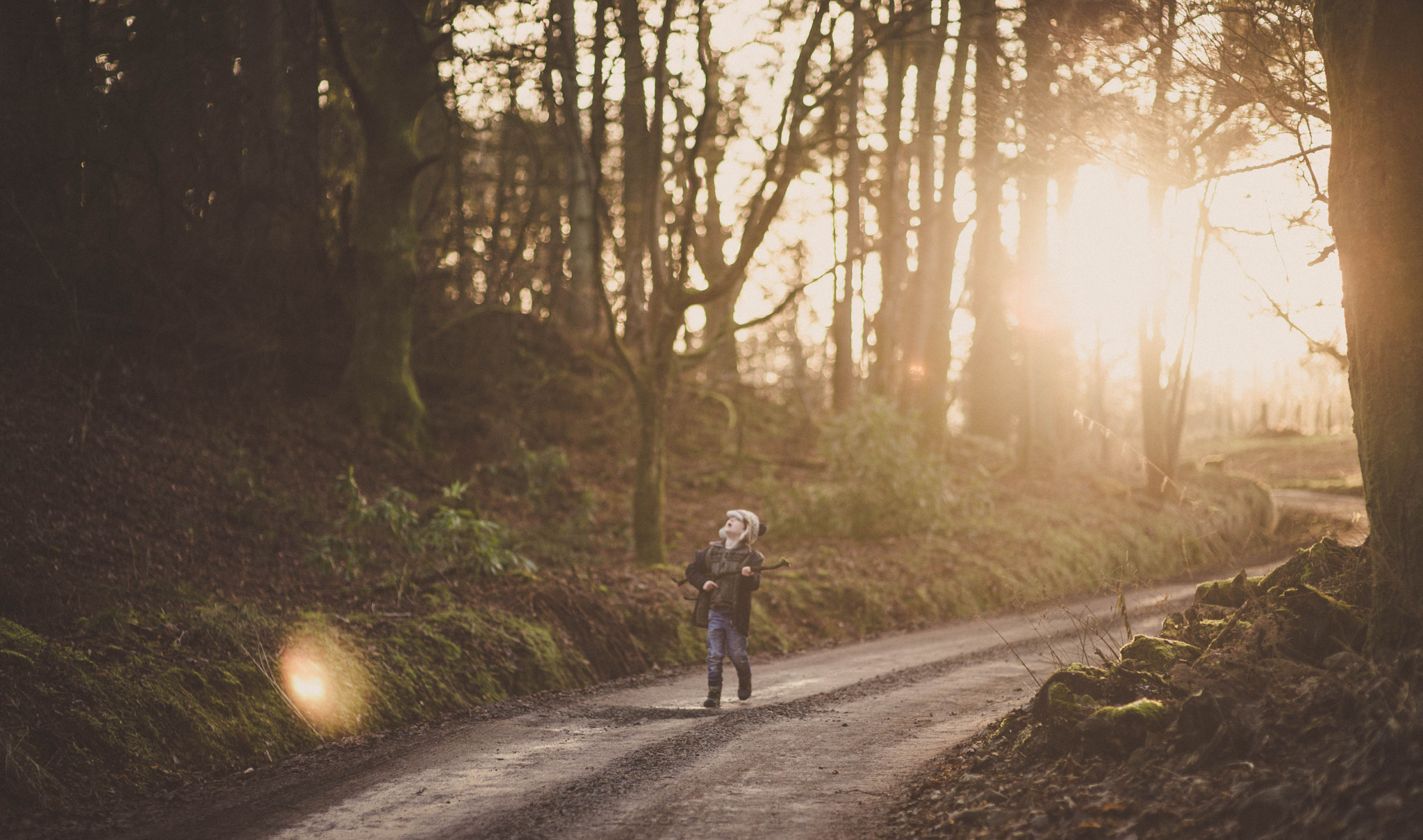 Nikon D800 + Sigma 85mm F1.4 EX DG HSM sample photo. Strolling along photography
