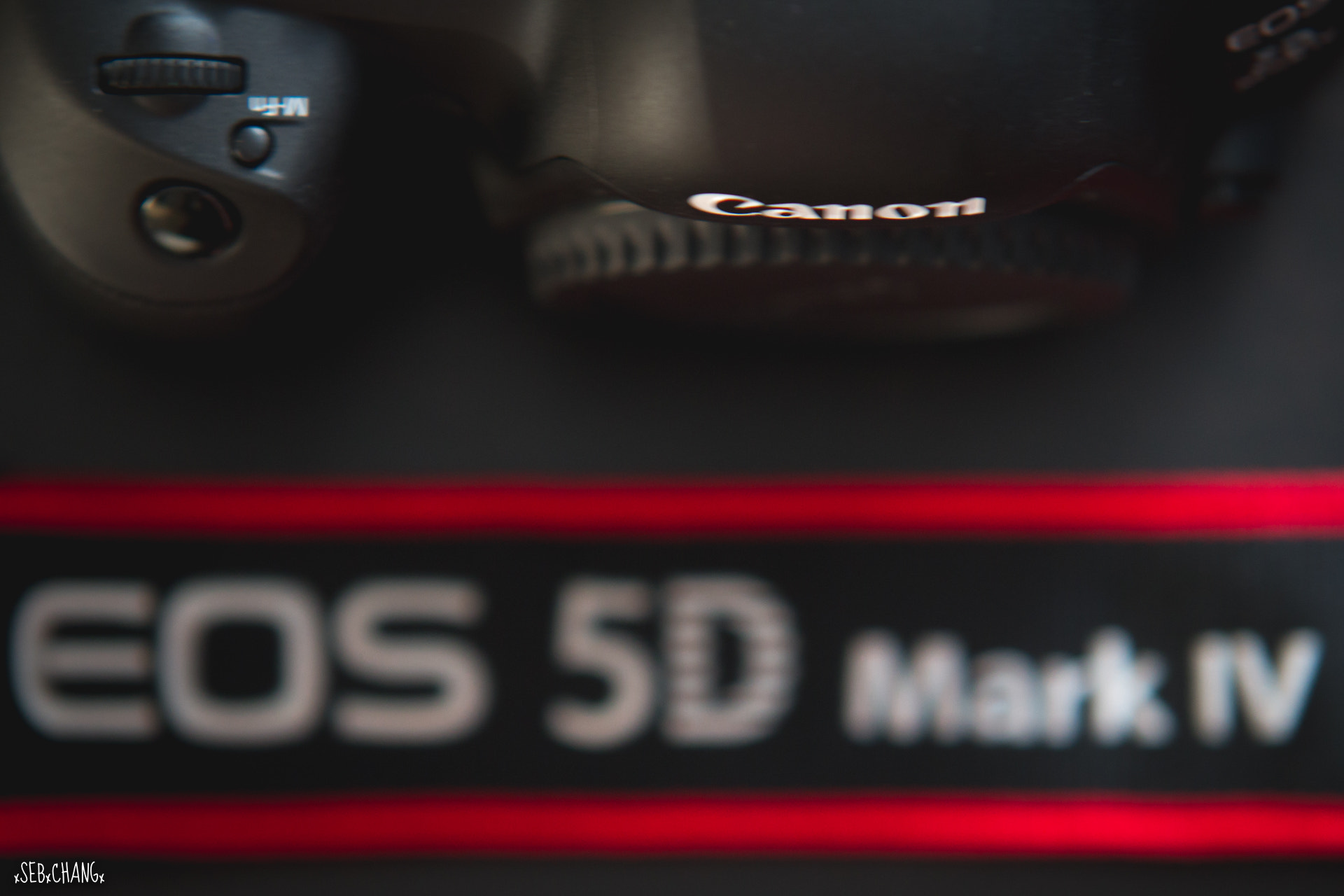 Sigma 70-200mm F2.8 EX DG OS HSM sample photo. 5d mk iv #1 photography