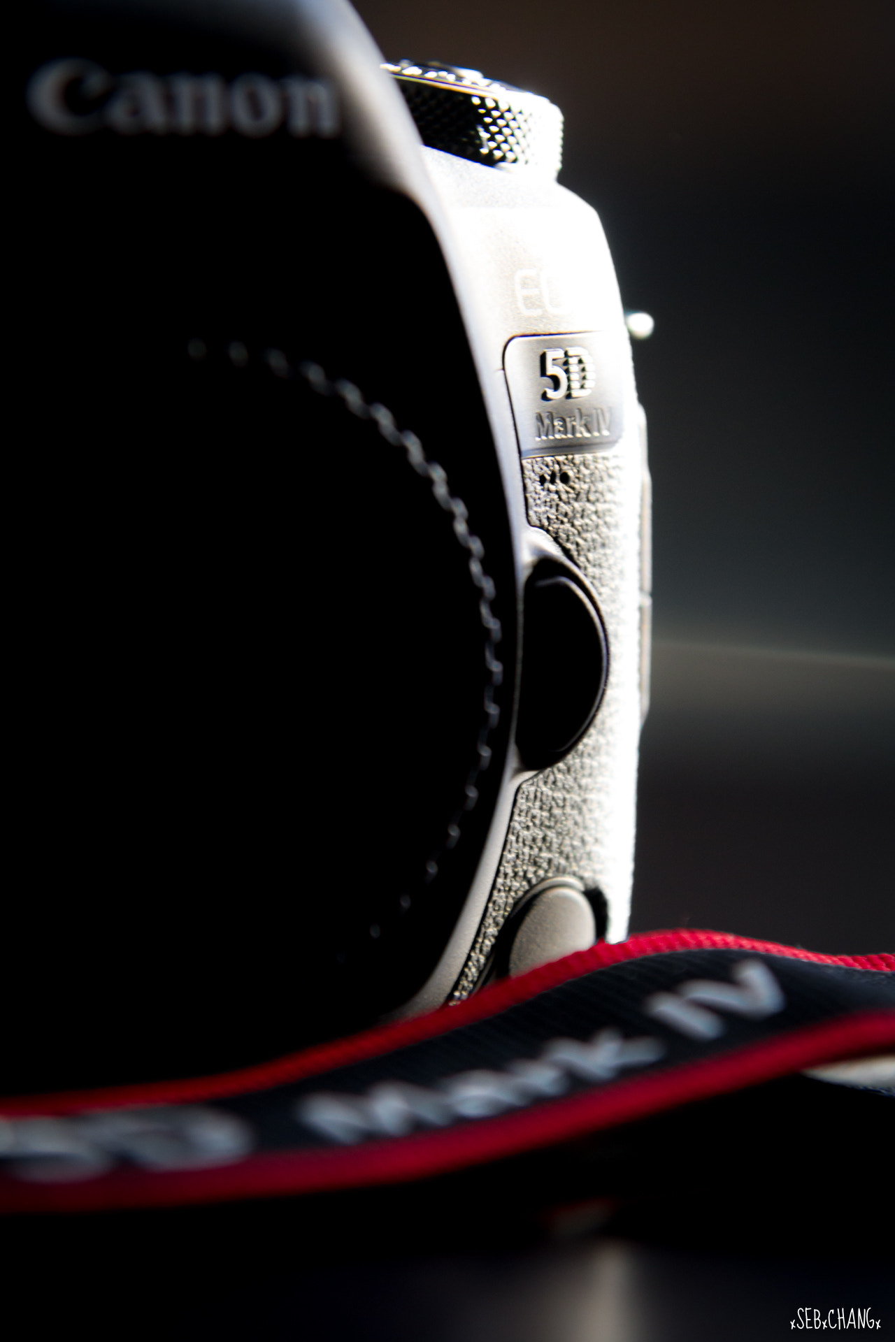 Sigma 70-200mm F2.8 EX DG OS HSM sample photo. 5d mk iv #2 photography