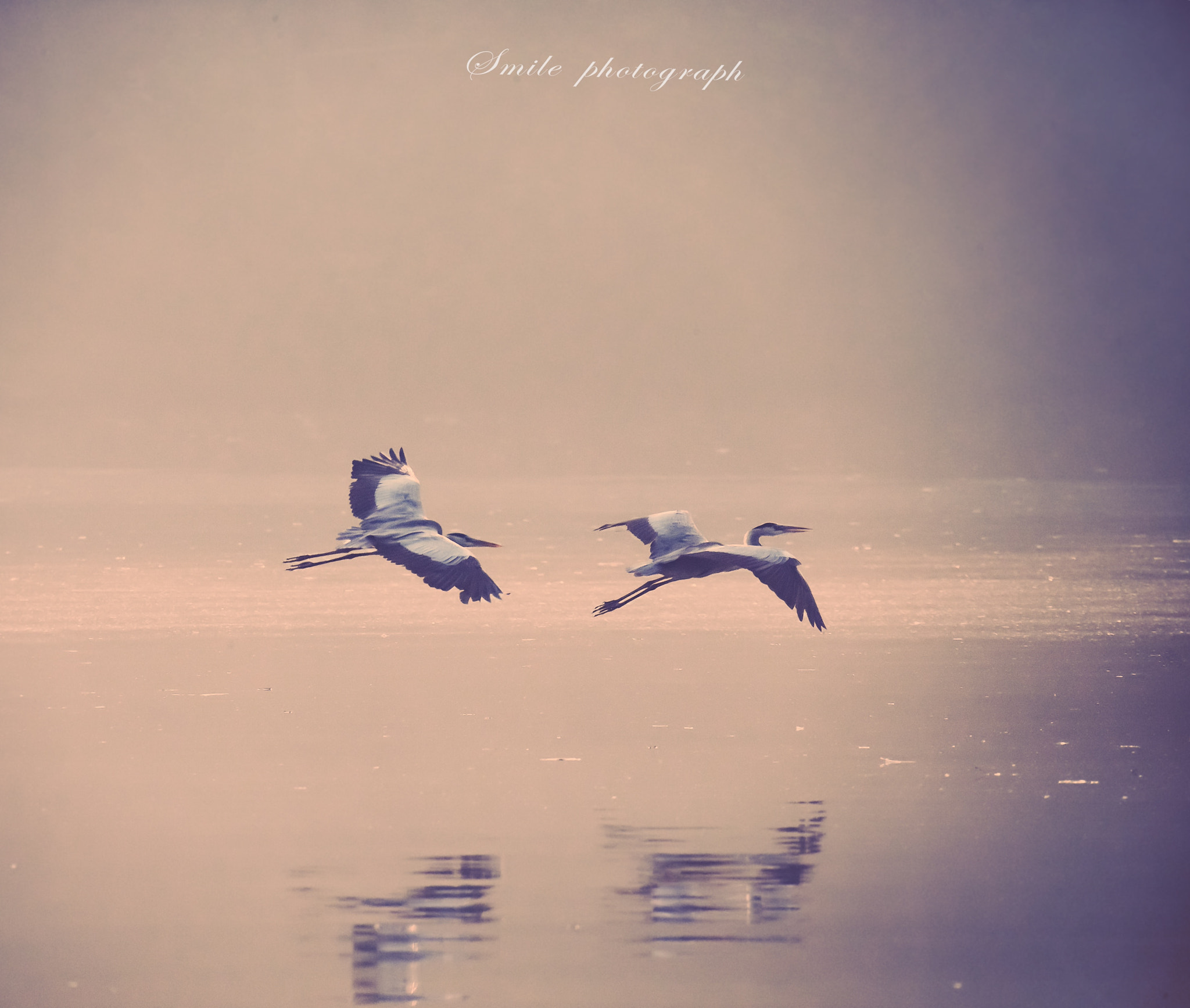 Sigma 150-600mm F5-6.3 DG OS HSM | C sample photo