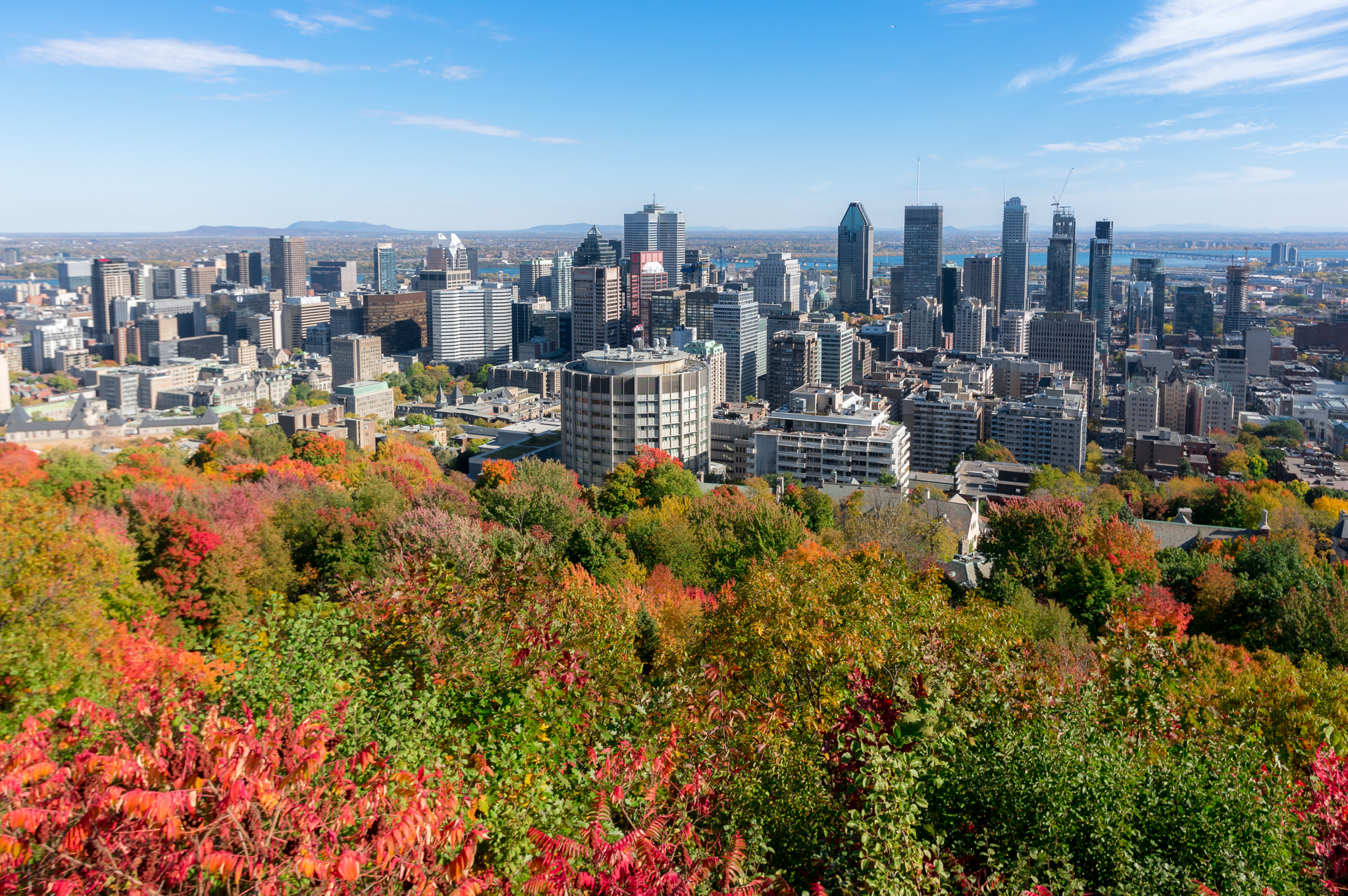 Pentax smc DA 15mm F4 ED AL Limited sample photo. Montreal photography