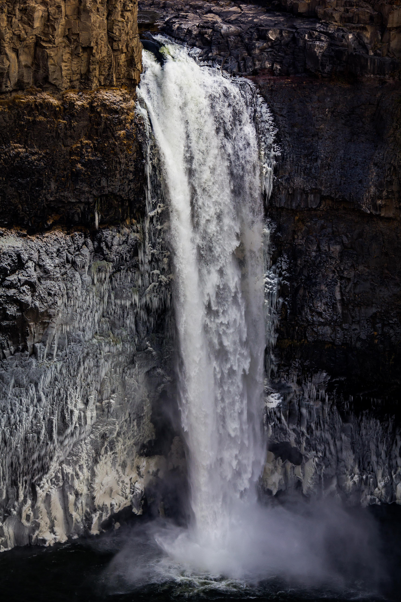 Canon EOS 550D (EOS Rebel T2i / EOS Kiss X4) sample photo. Icy cold . . . photography