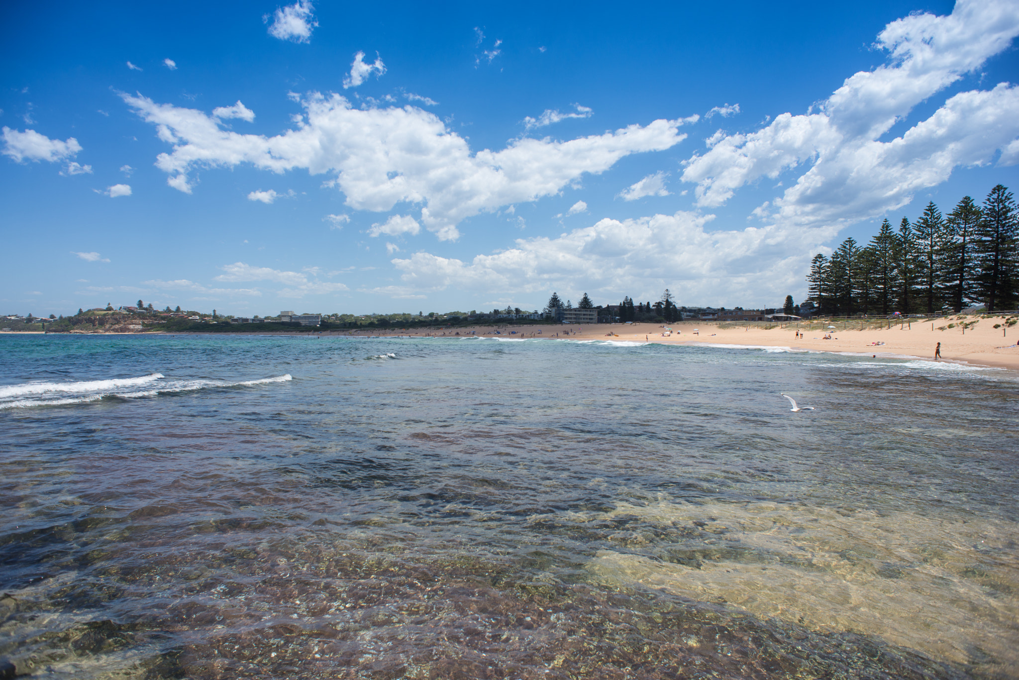 Nikon D610 + Nikon AF Nikkor 20mm F2.8D sample photo. Summer in sydney series - mona vale beach photography