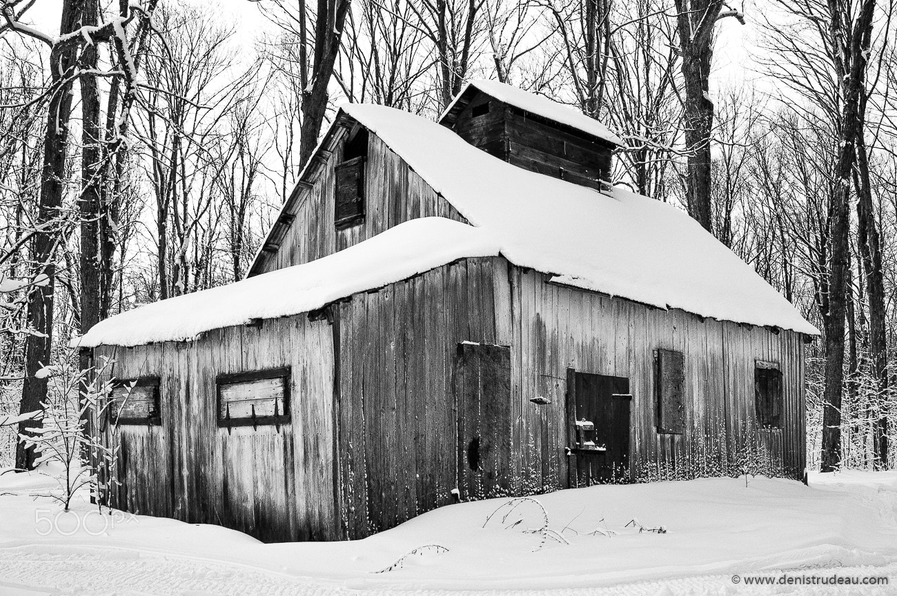 Nikon D70 sample photo. Cabin in the woods photography