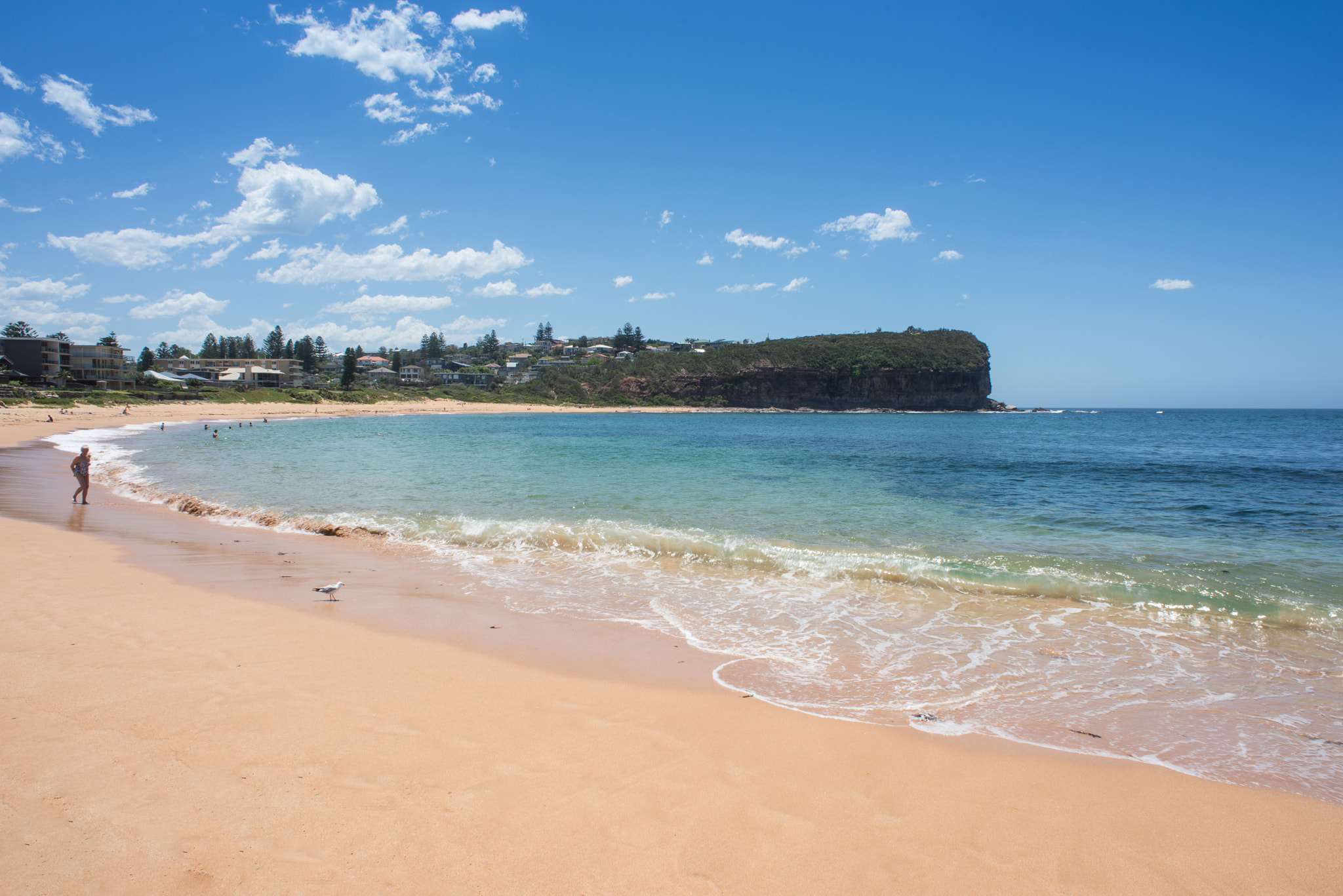 Nikon D610 + Nikon AF Nikkor 20mm F2.8D sample photo. Summer in sydney series - mona vale basin beach photography