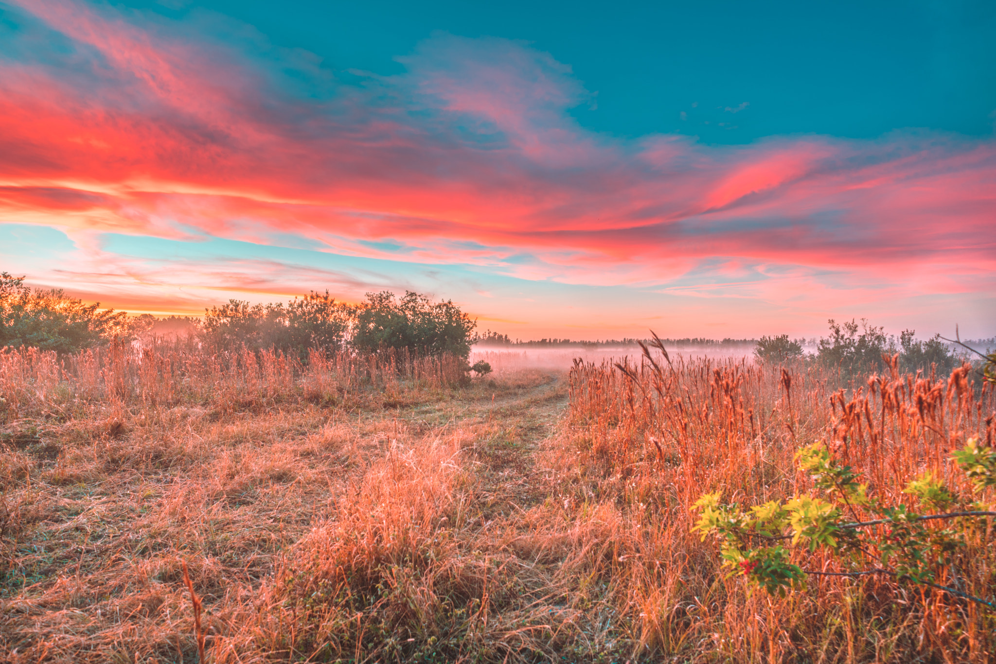 E 21mm F2.8 sample photo. Country ville sunrise photography