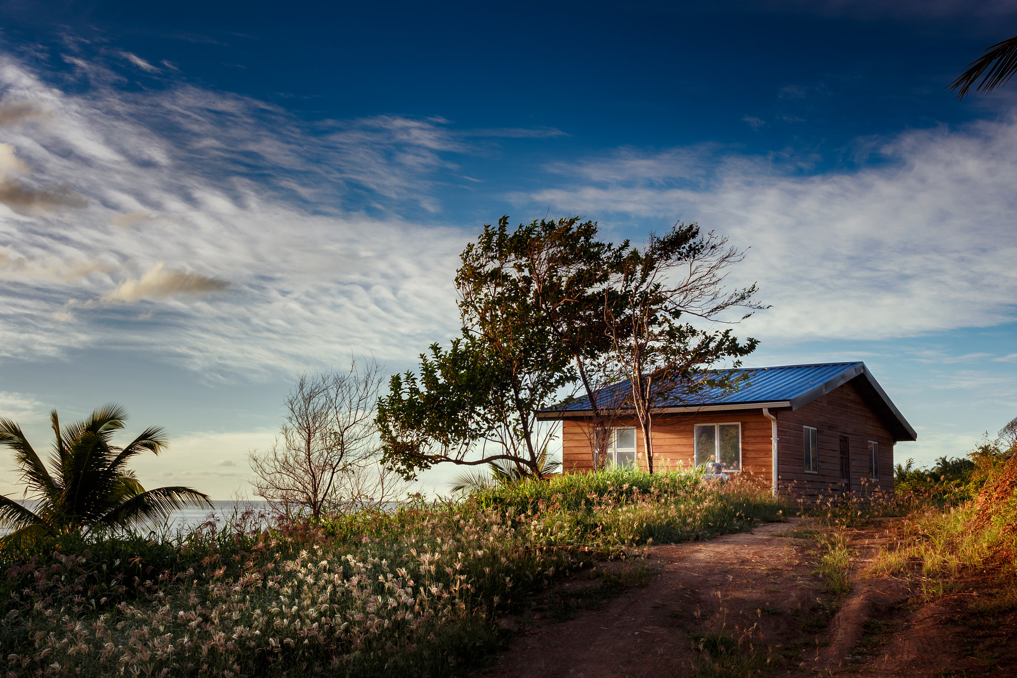 Canon EF-S 24mm F2.8 STM sample photo. Home photography