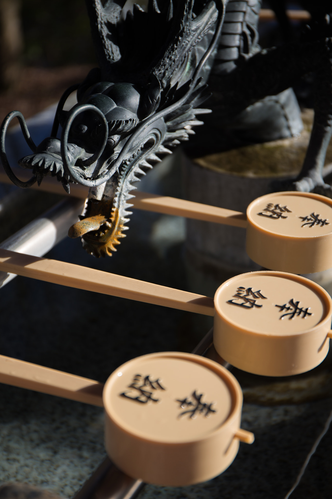 Canon EF 24-70mm F4L IS USM sample photo. Holy water dragon photography