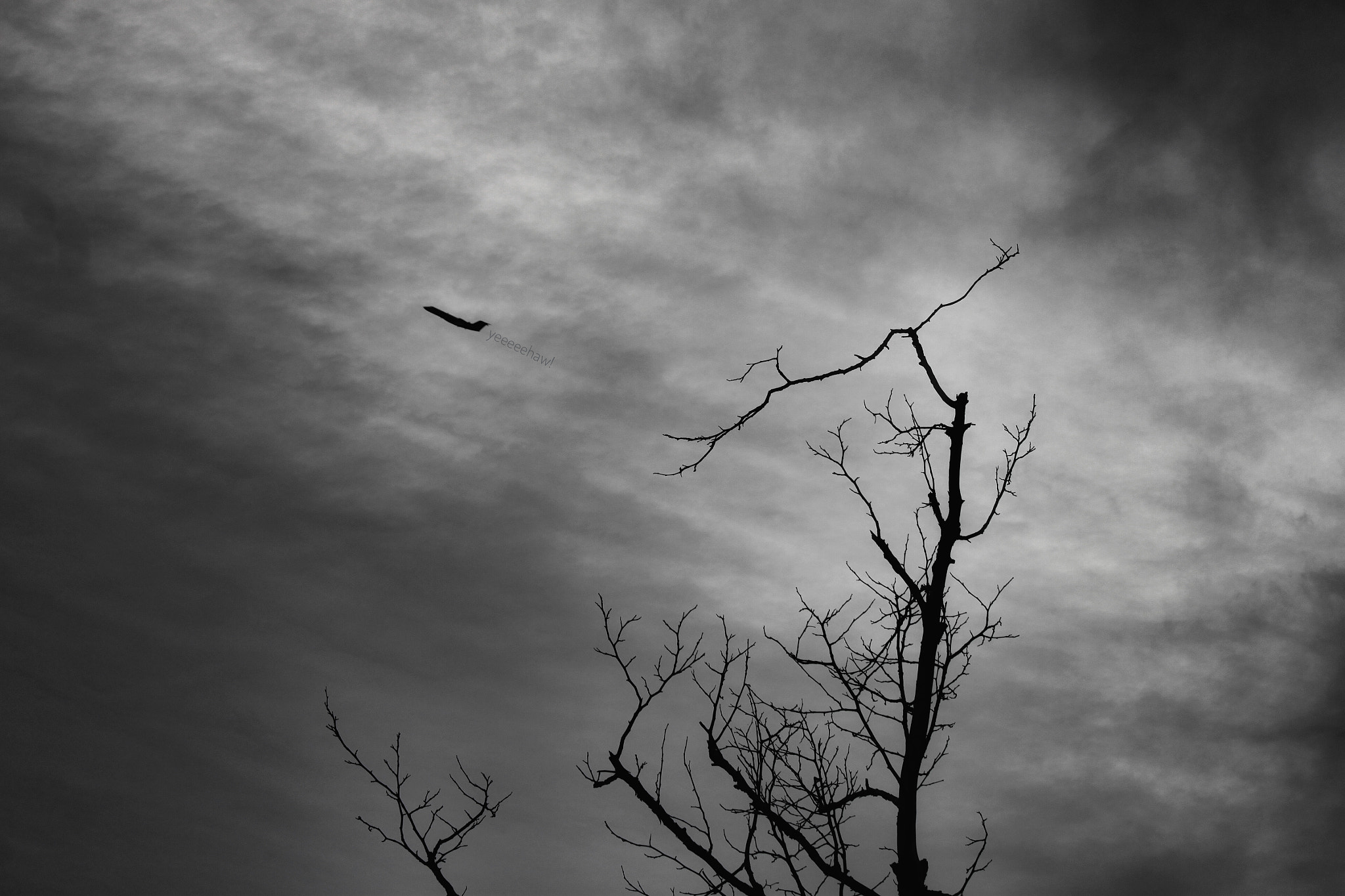 Canon EOS 500D (EOS Rebel T1i / EOS Kiss X3) sample photo. Up and into the clouds photography