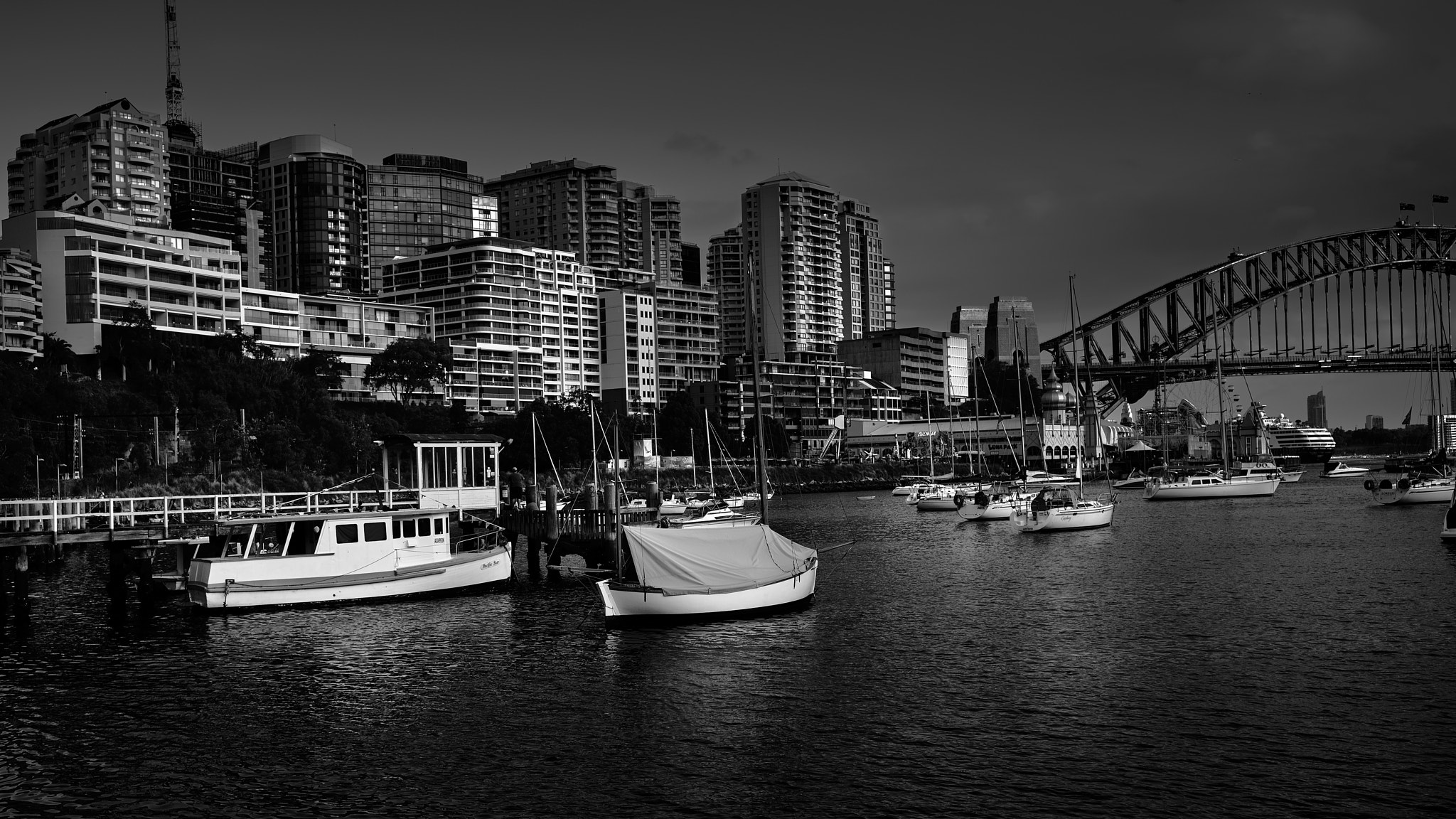 ZEISS Loxia 35mm F2 sample photo. North sydney photography