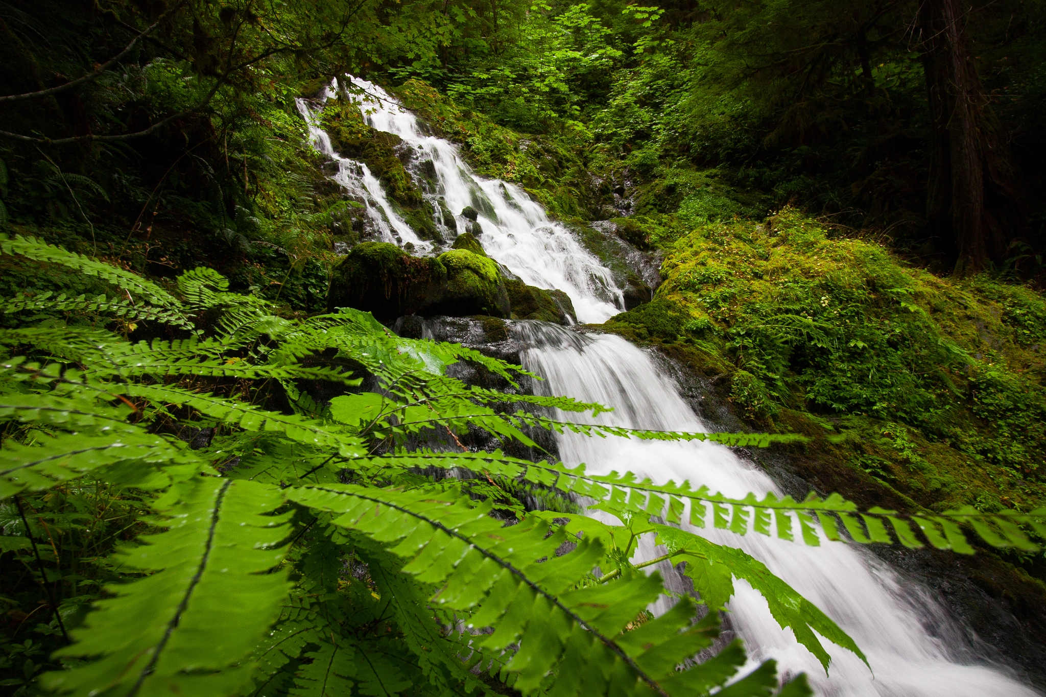 Canon EOS 450D (EOS Rebel XSi / EOS Kiss X2) sample photo. Bunch creek falls photography