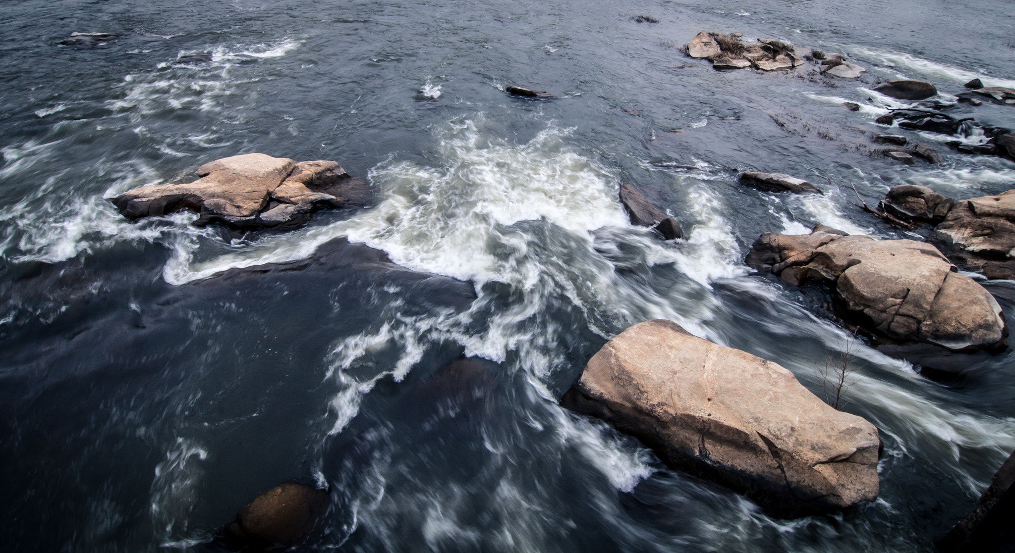 Tokina AT-X Pro 12-24mm F4 (IF) DX sample photo. The james. beautiful but deadly. photography