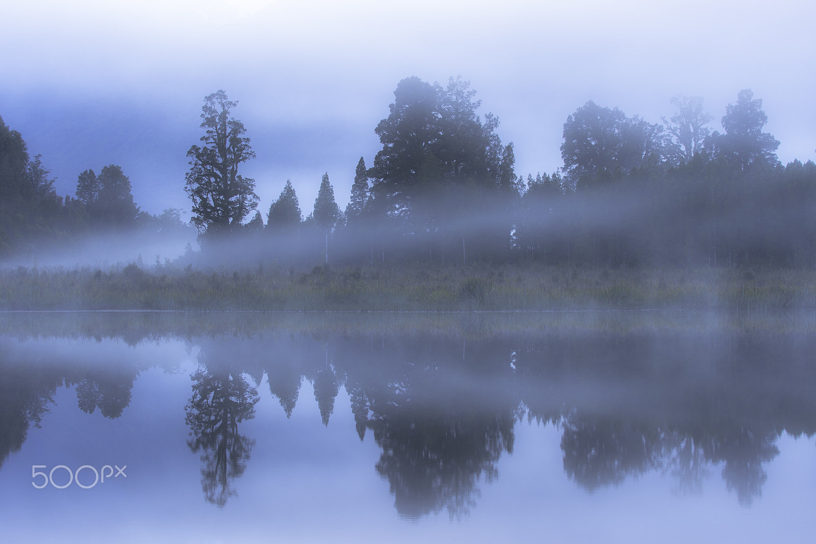 Nikon D500 sample photo. Dreamland photography
