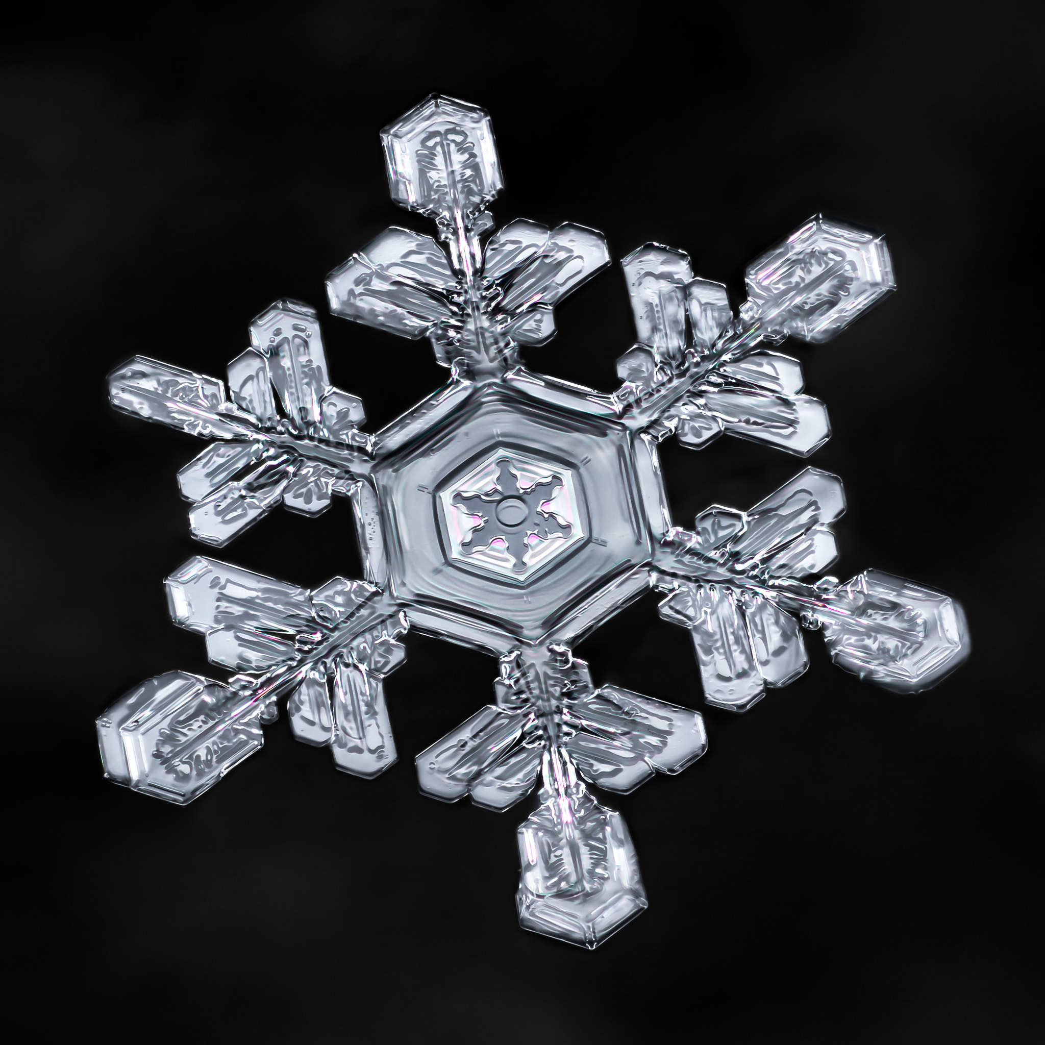 Canon MP-E 65mm F2.5 1-5x Macro Photo sample photo. Snowflake-a-day #38 photography