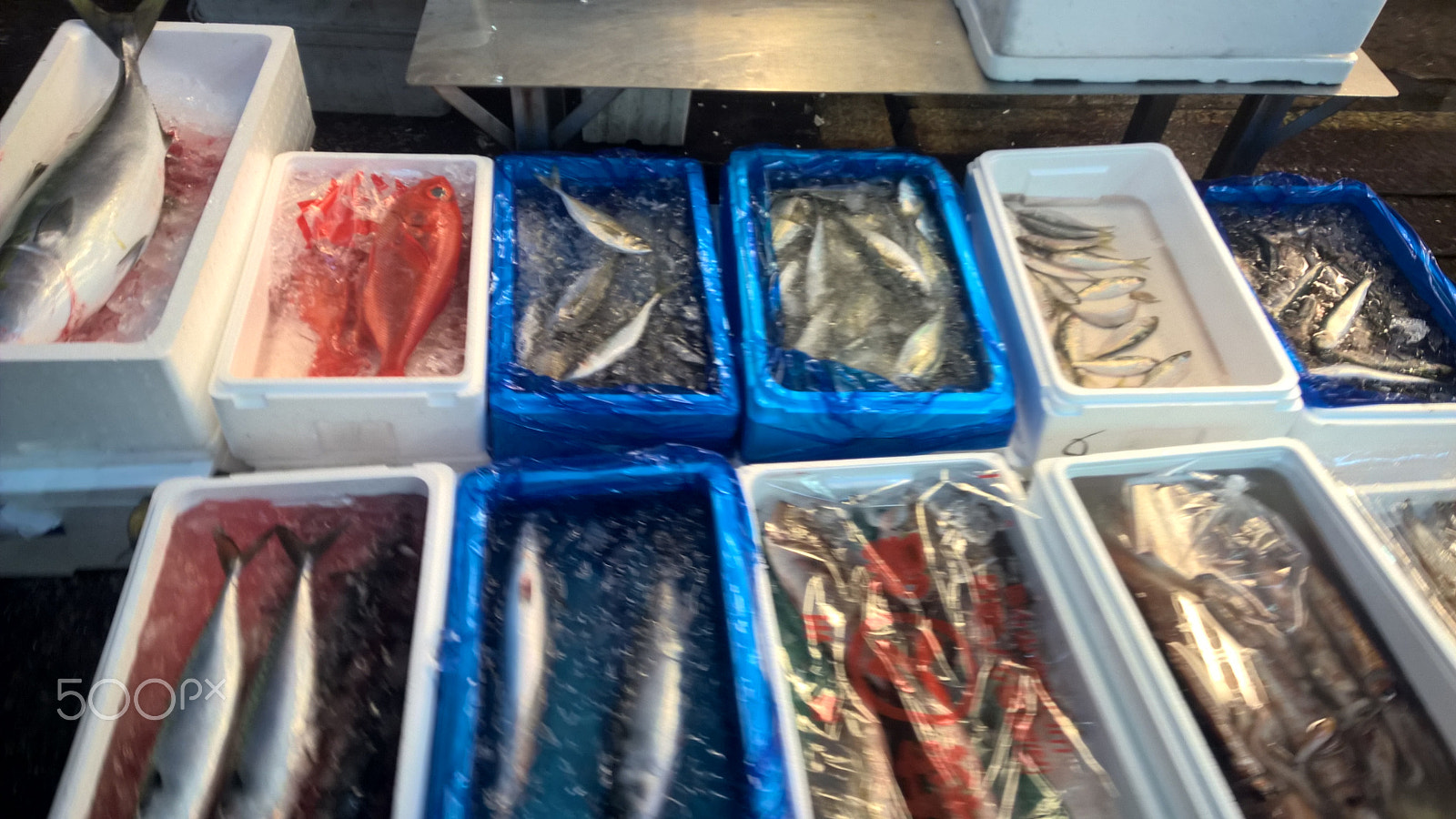 Nokia Lumia 929 sample photo. Tsukiji fish market photography