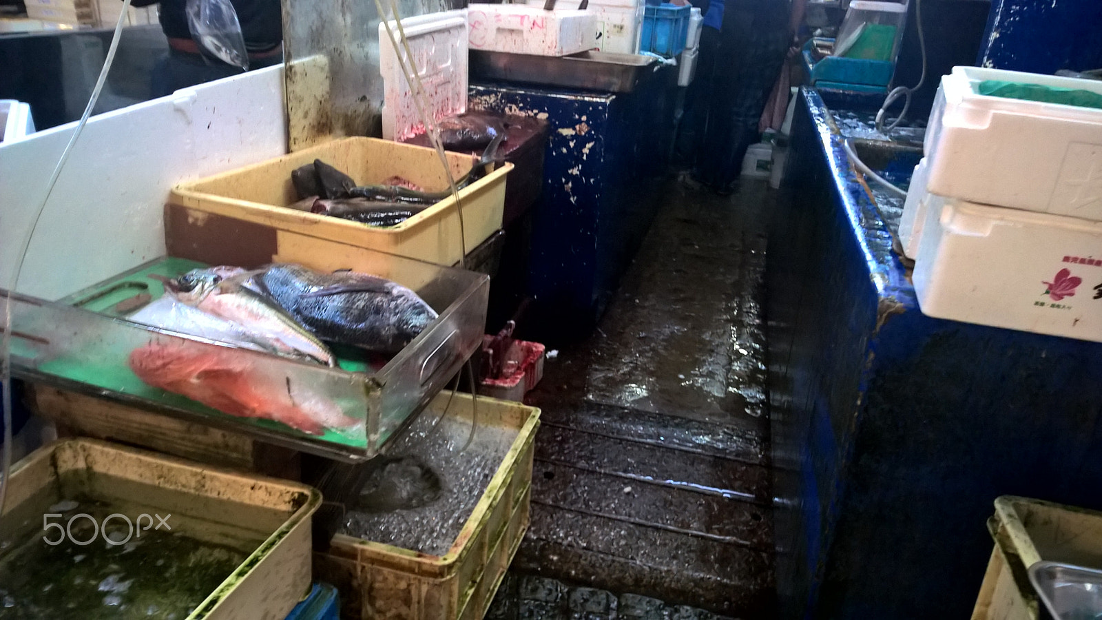 Nokia Lumia 929 sample photo. Tsukiji fish market photography