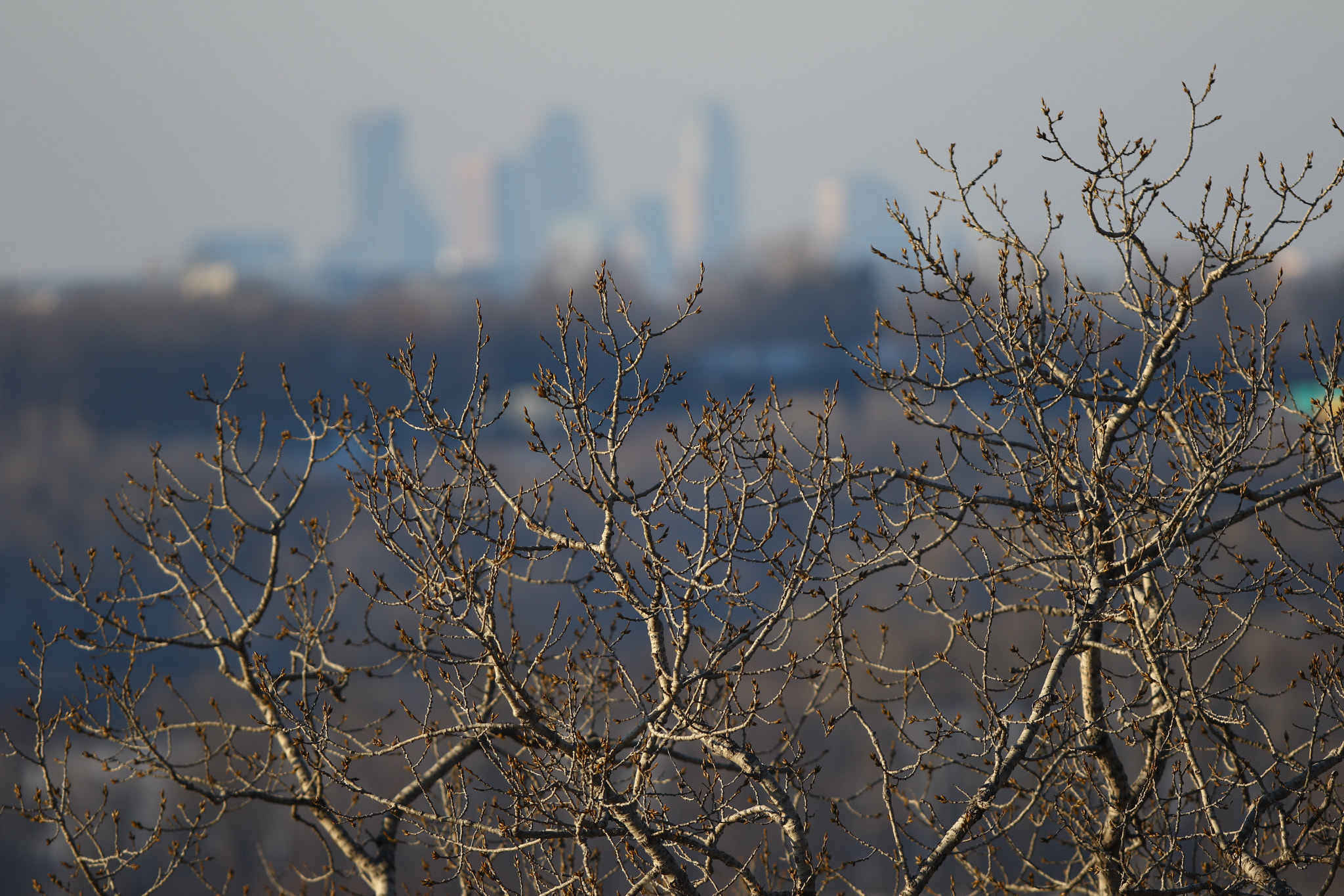 Canon EF 300mm F2.8L IS USM sample photo. Outer city. photography