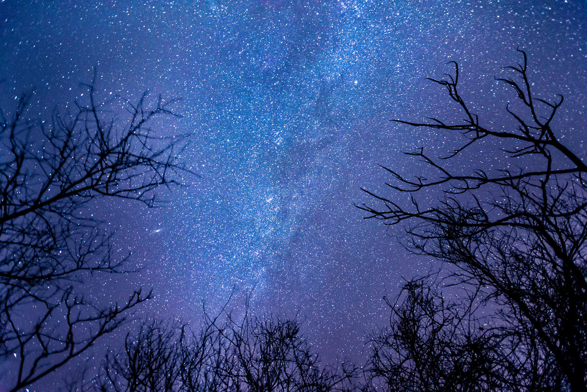Nikon AF-S Nikkor 17-35mm F2.8D ED-IF sample photo. Sky above photography