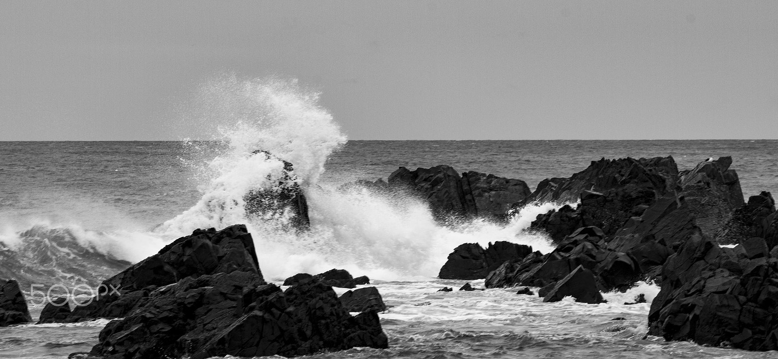 Canon EF-S 55-250mm F4-5.6 IS II sample photo. Salty spray photography