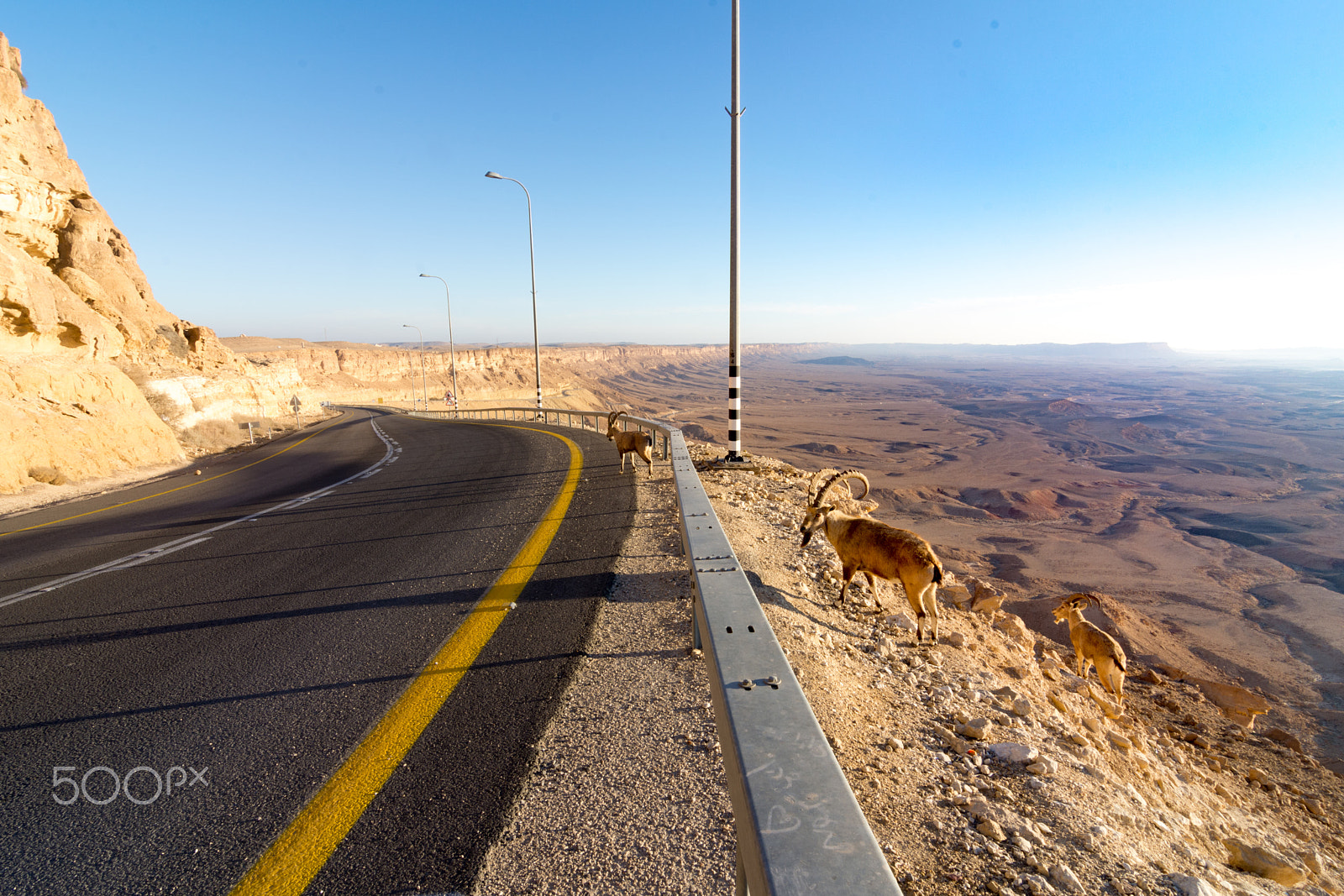 Tokina AT-X Pro 11-16mm F2.8 DX sample photo. Mountain desert road, ramon crater, ibex photography