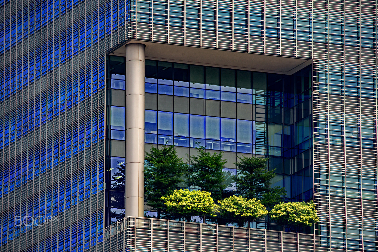 Nikon D600 sample photo. Architecture 9 – green facade photography