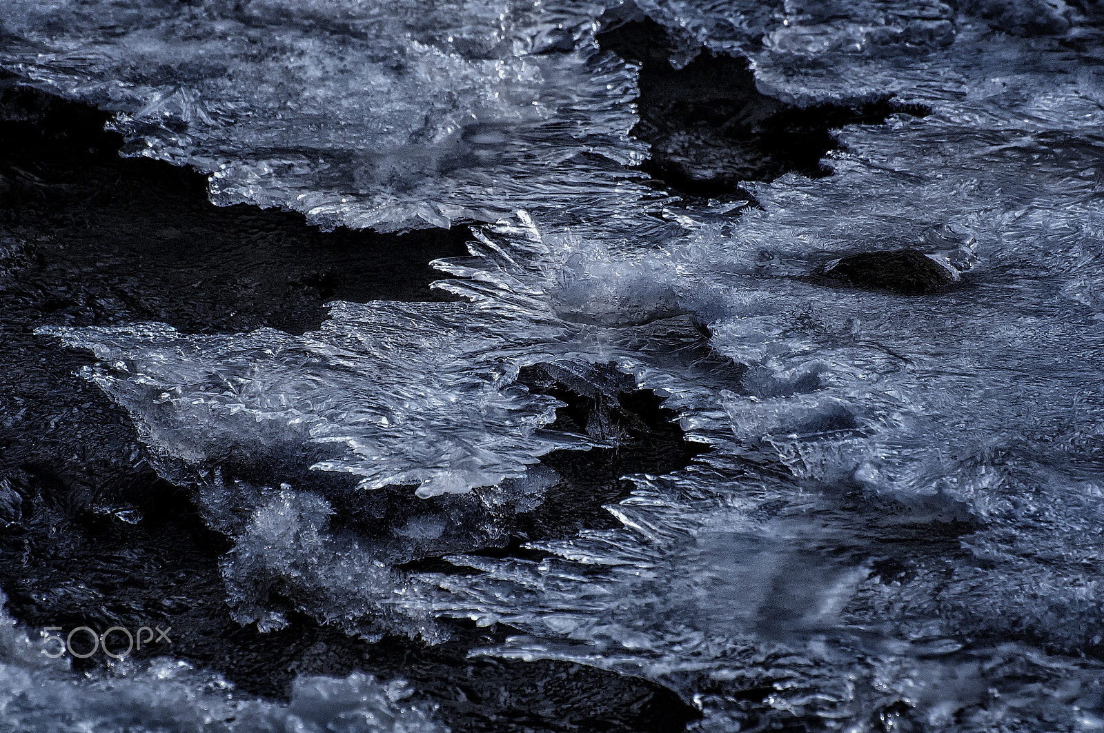 Nikon D5000 sample photo. Winter's icy pallet photography