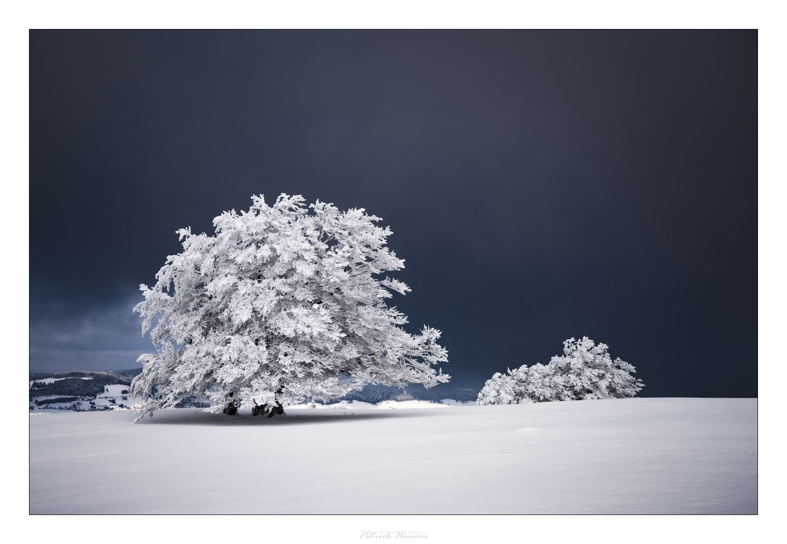 Sony a99 II sample photo. Contraste photography