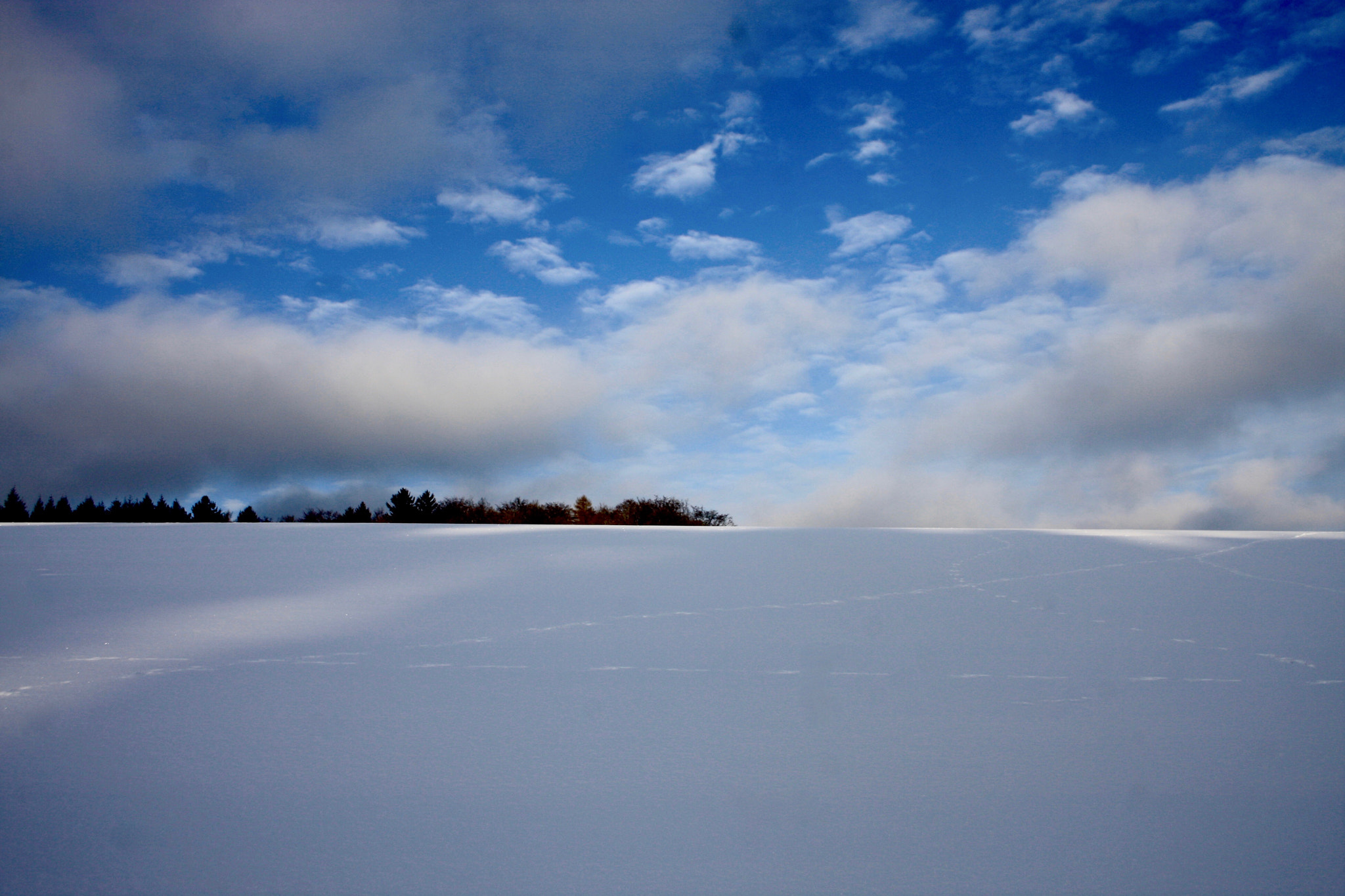 Canon EF-S 18-55mm F3.5-5.6 II sample photo. Abstracts in sno.w1364 photography
