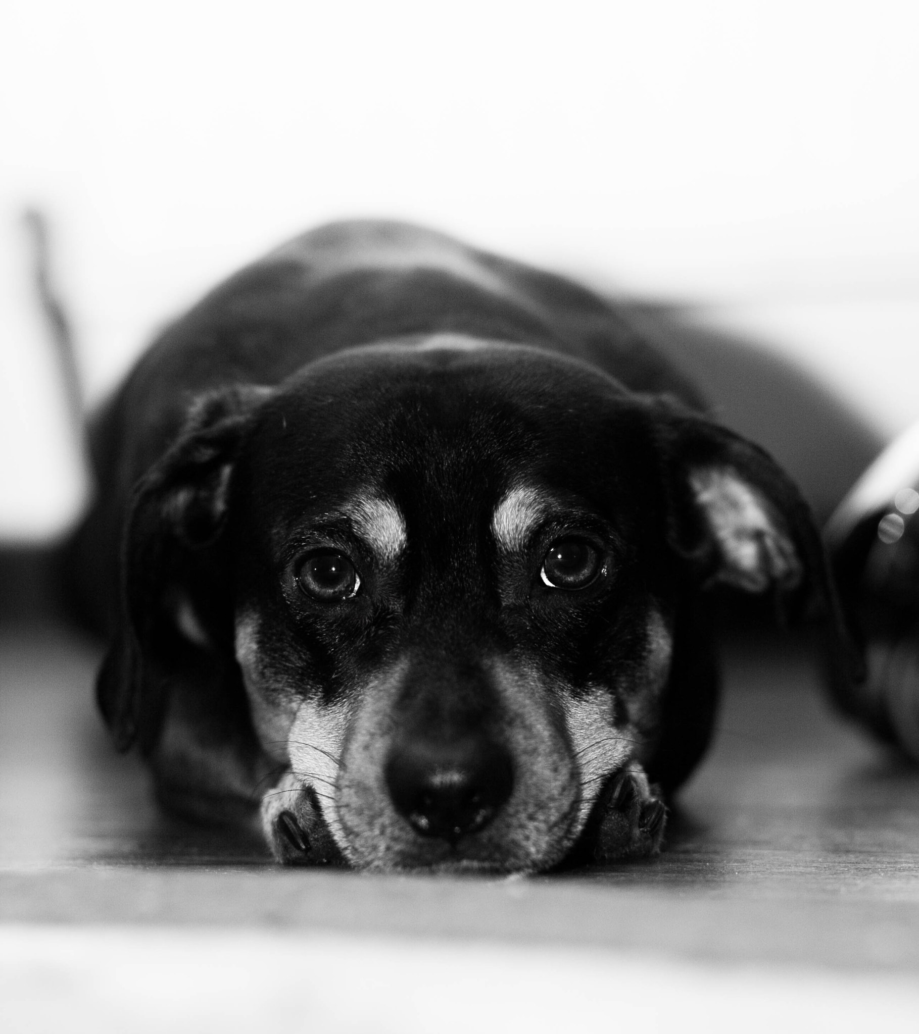 Canon EOS-1D Mark III sample photo. 4x2d3650-2.jpg photography