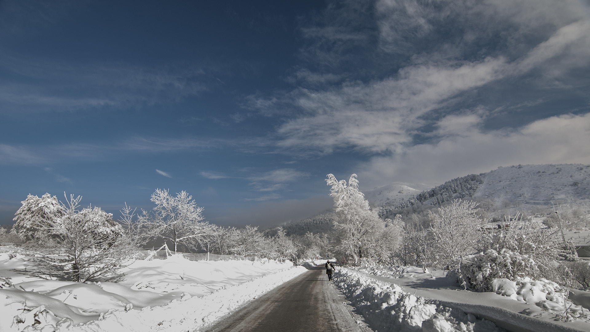 Nikon D80 sample photo. Winter photography