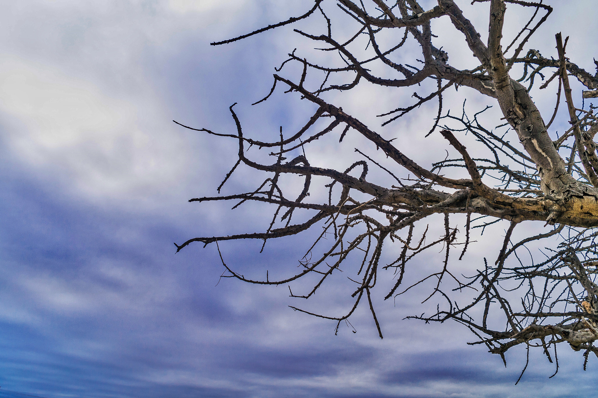 Samsung NX 18-55mm F3.5-5.6 OIS sample photo. Sky photography