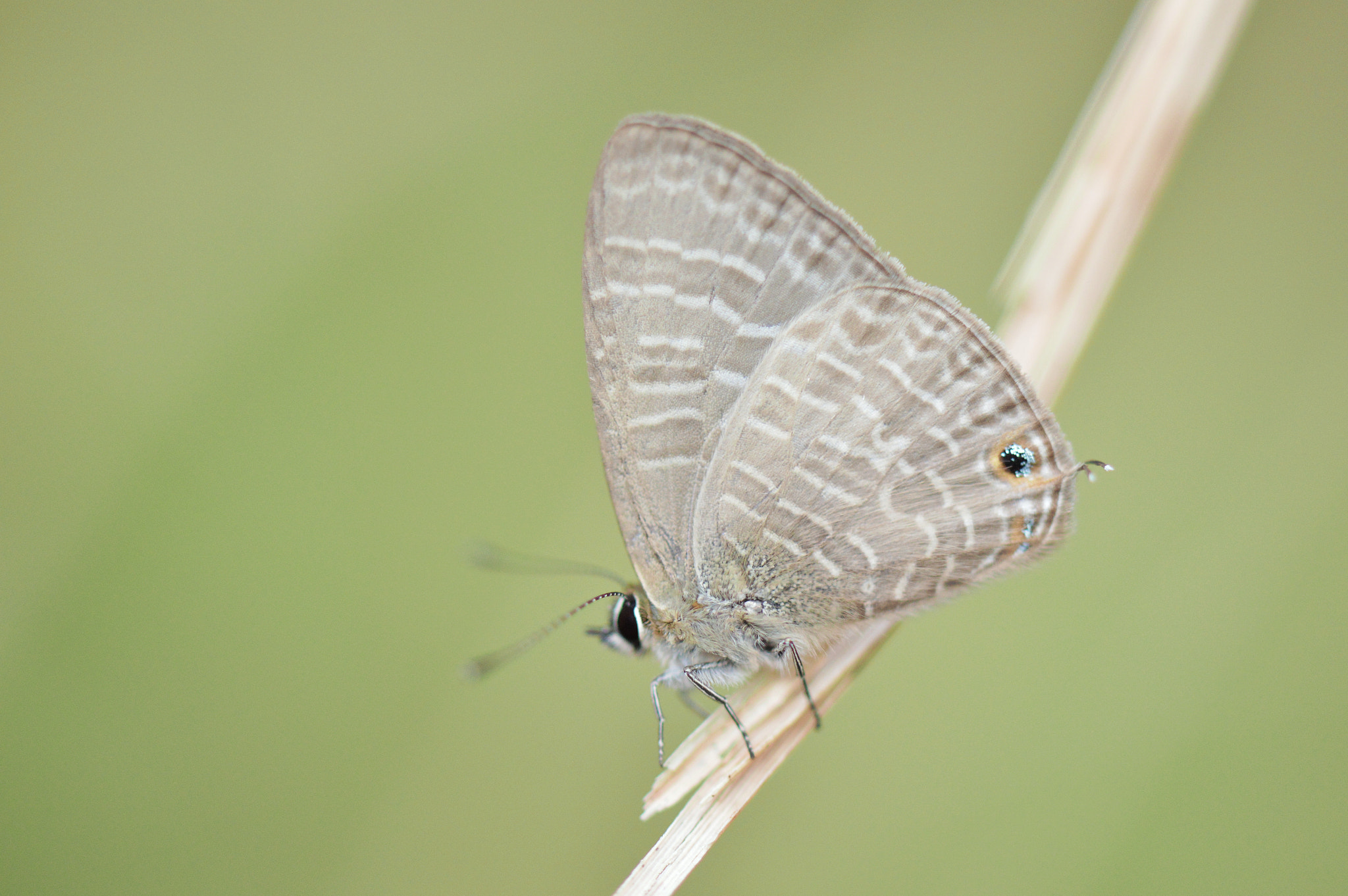 Nikon D3200 sample photo. Crease photography