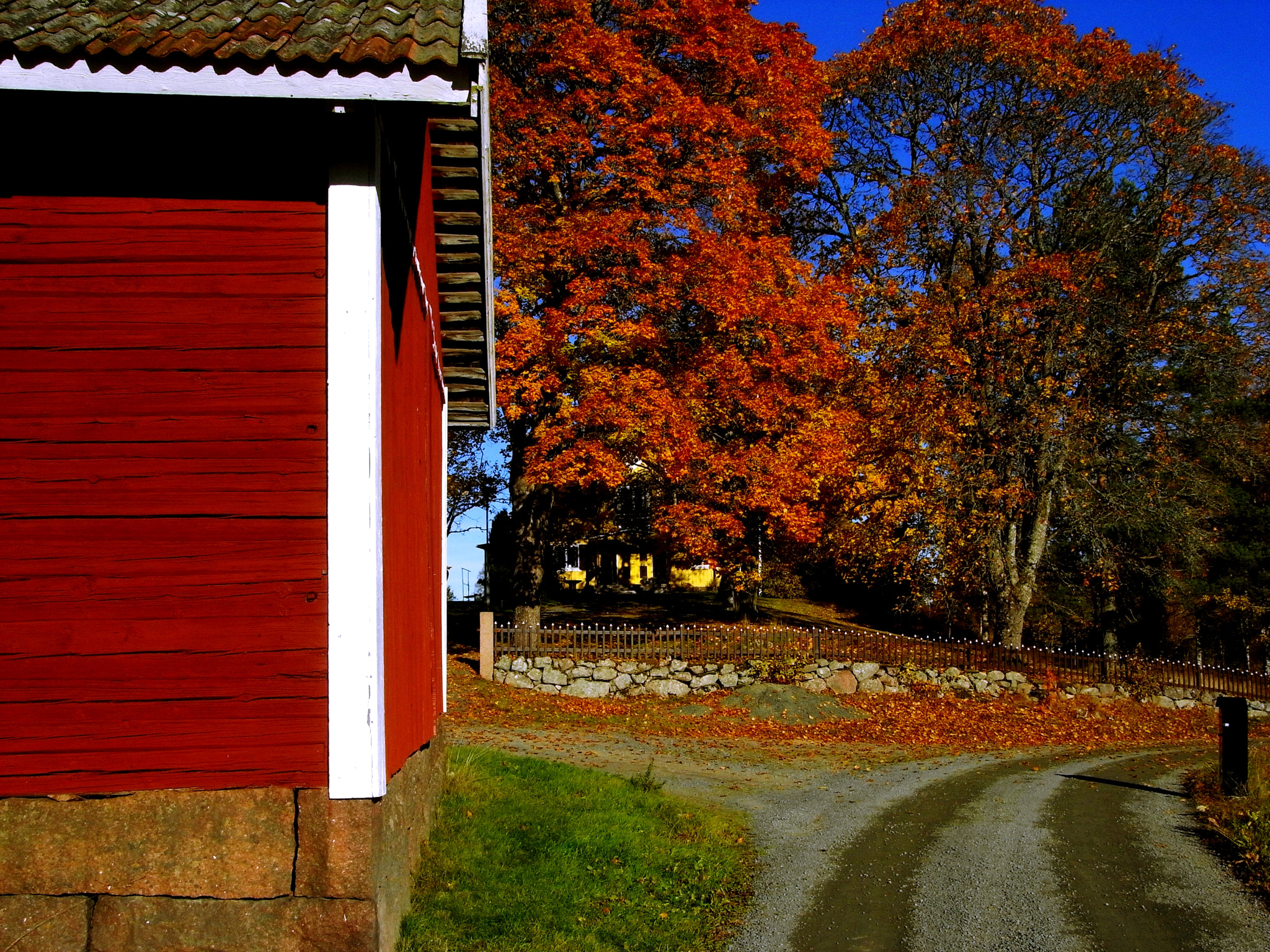 Ricoh Caplio R7 sample photo. Autumn photography
