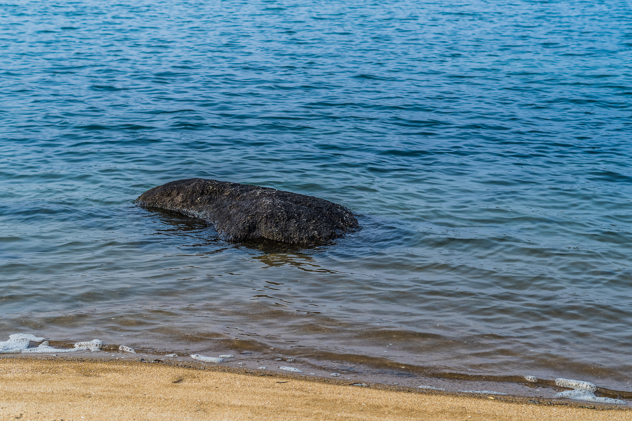 Pentax K-S1 + Pentax smc DA 50mm F1.8 sample photo. Beach photography