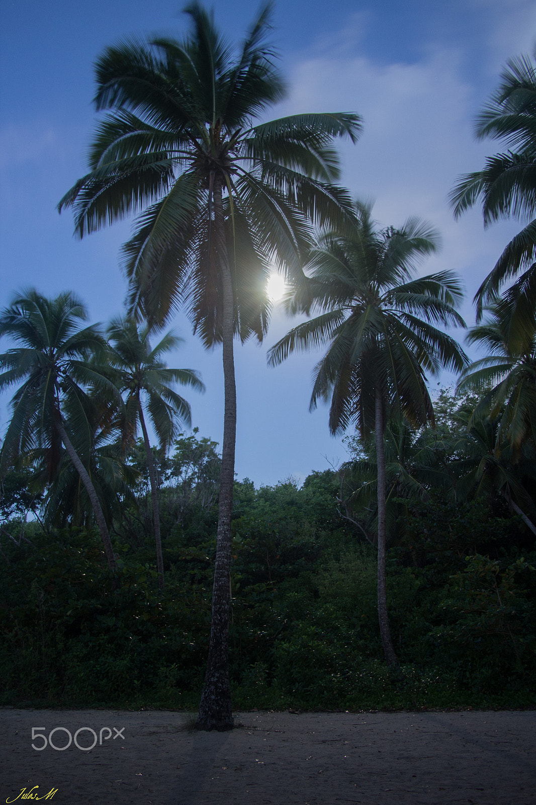 Canon EOS 1200D (EOS Rebel T5 / EOS Kiss X70 / EOS Hi) + Sigma 18-50mm f/3.5-5.6 DC sample photo. Between coconut tree and moon light photography