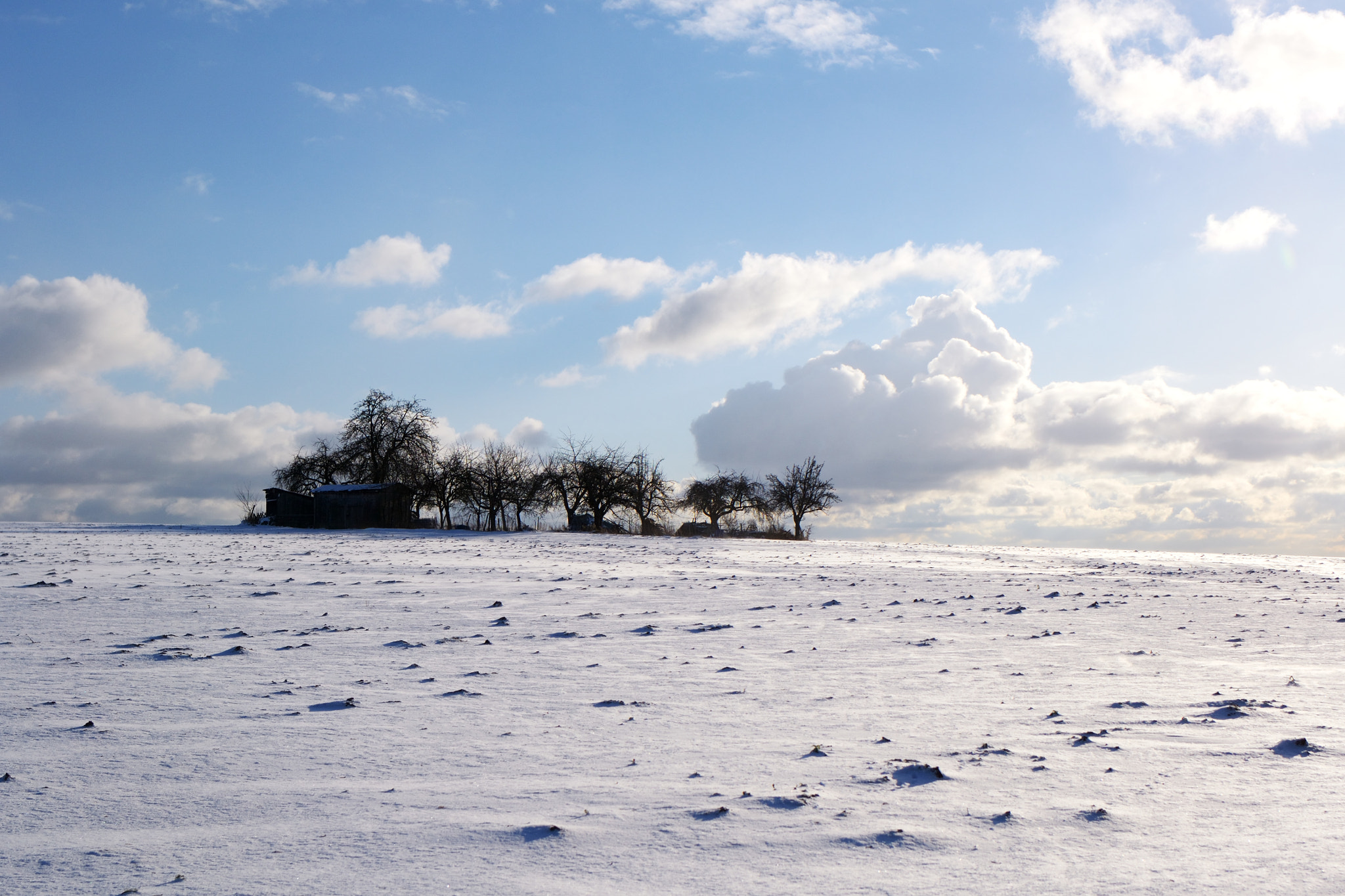 Nikon D3100 + Tamron SP 35mm F1.8 Di VC USD sample photo. Alone in the white photography