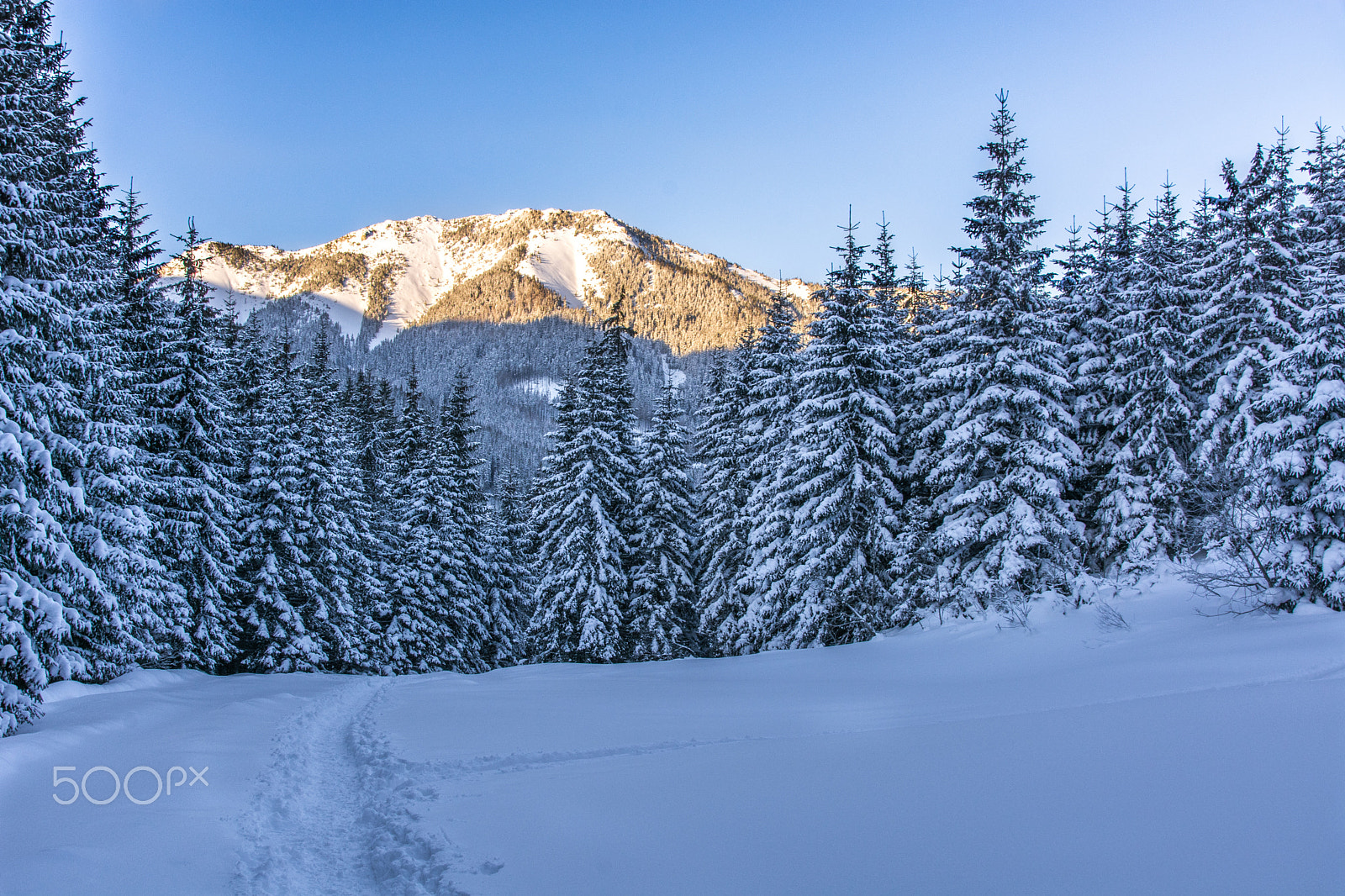 Sigma 18-200mm F3.5-6.3 II DC OS HSM sample photo. Trail in western tatra mountains photography