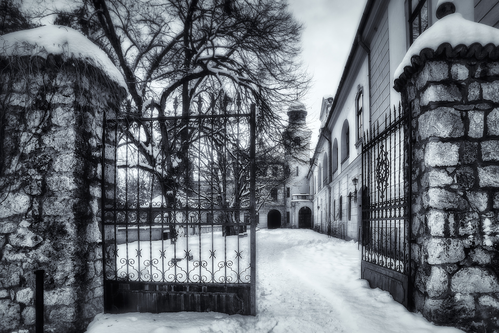 Nikon D600 sample photo. Back gate photography
