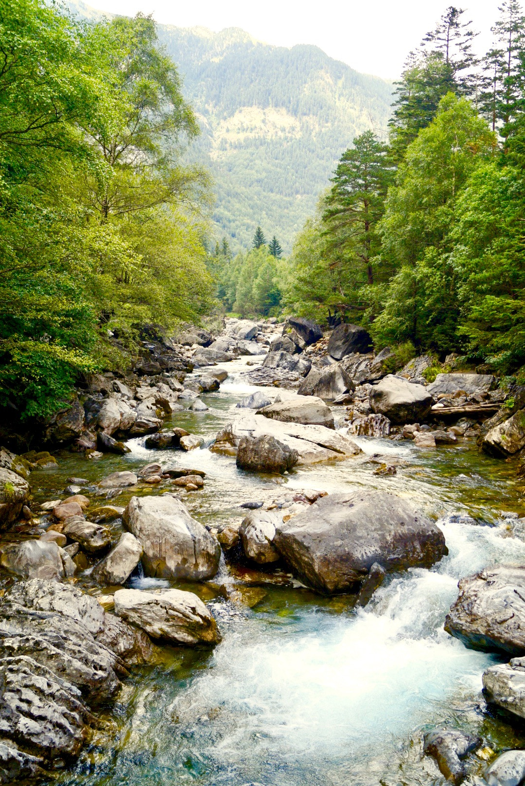 Sony DT 18-55mm F3.5-5.6 SAM II sample photo. Liquid forest photography