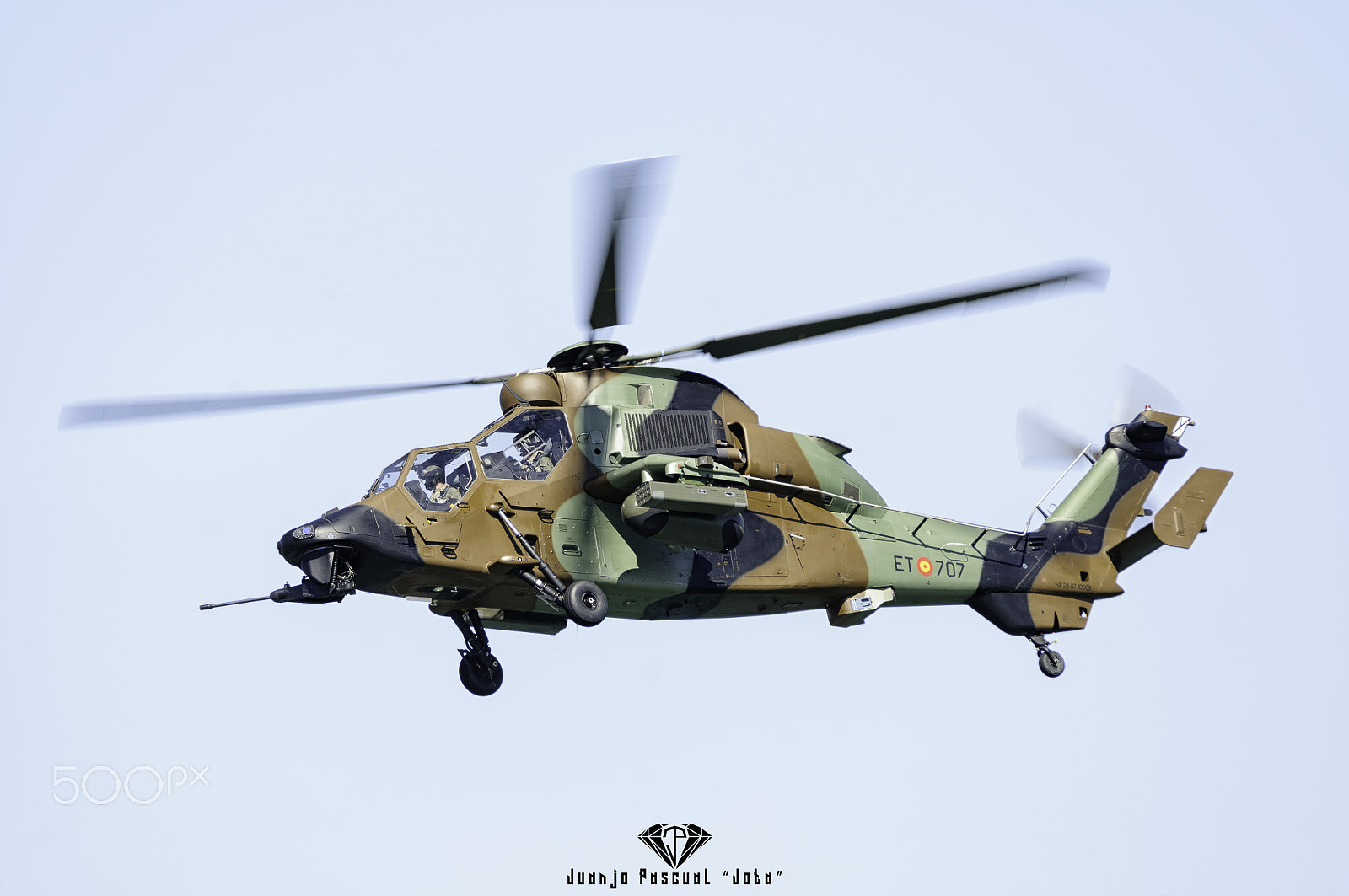 Sigma 150-600mm F5-6.3 DG OS HSM | C sample photo. Tiger ii photography
