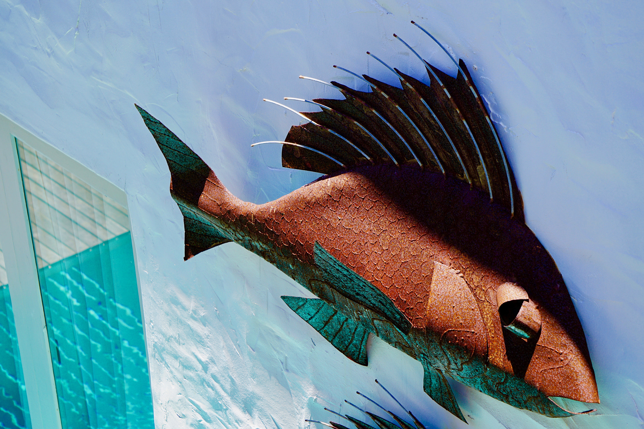 Sony E 55-210mm F4.5-6.3 OSS sample photo. Pescado en la pared photography